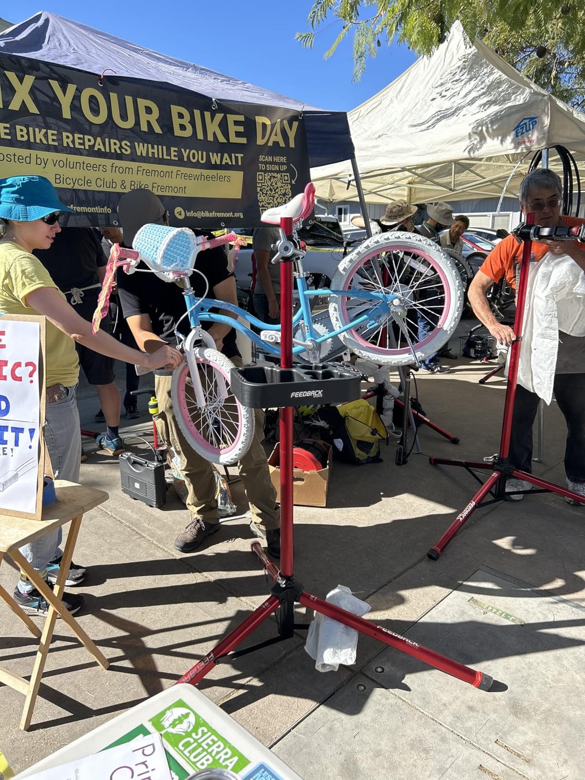 RoyalBaby Girls Bike Classic & EZ Kids Bike, Balance and Pedal Bicycle, 12 14 16 18 20 Inch Toddlers to Big Kids 3-10 Years customer photo 2
