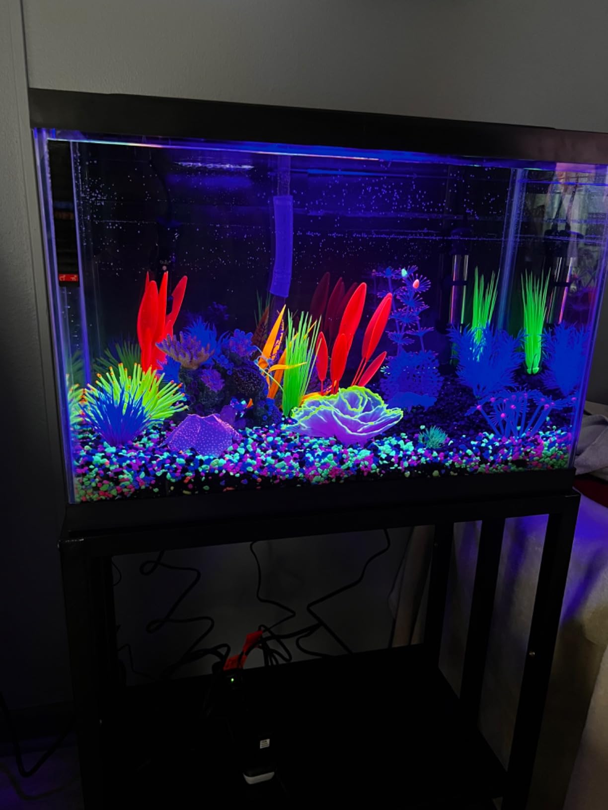 GloFish 20 Gallon Aquarium Kit with LED Lights, Decor Heater and Filter customer photo 2