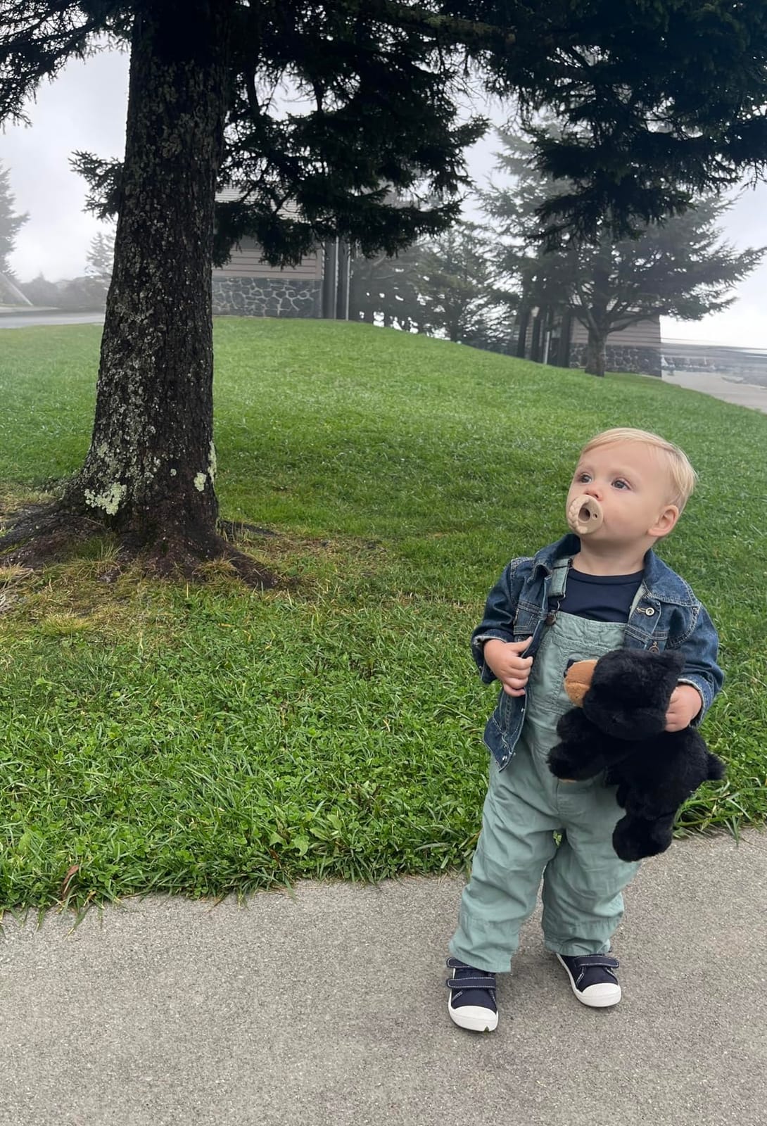 The Children's Place Baby Boys' Denim Jacket customer photo 1