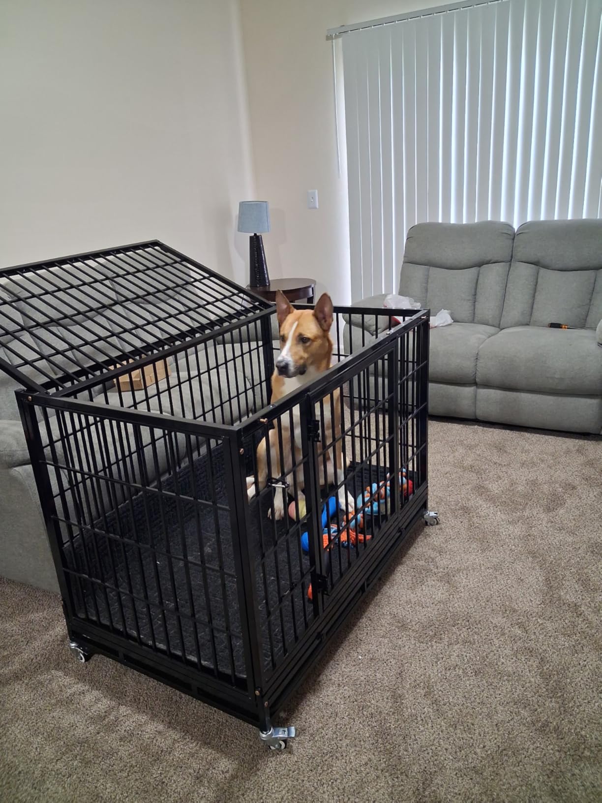 Homey Pet Taller 43