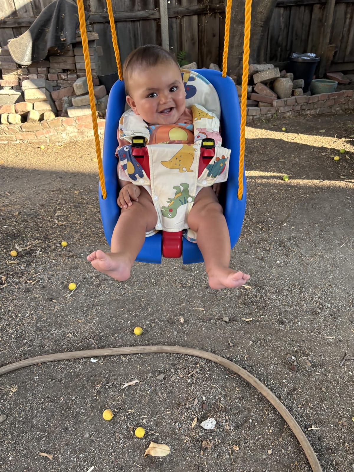 Little Tikes Snug 'n Secure Blue Swing with Adjustable Straps, 2-in-1 for Baby and Toddlers Ages 9 Months - 4 Years customer photo 1