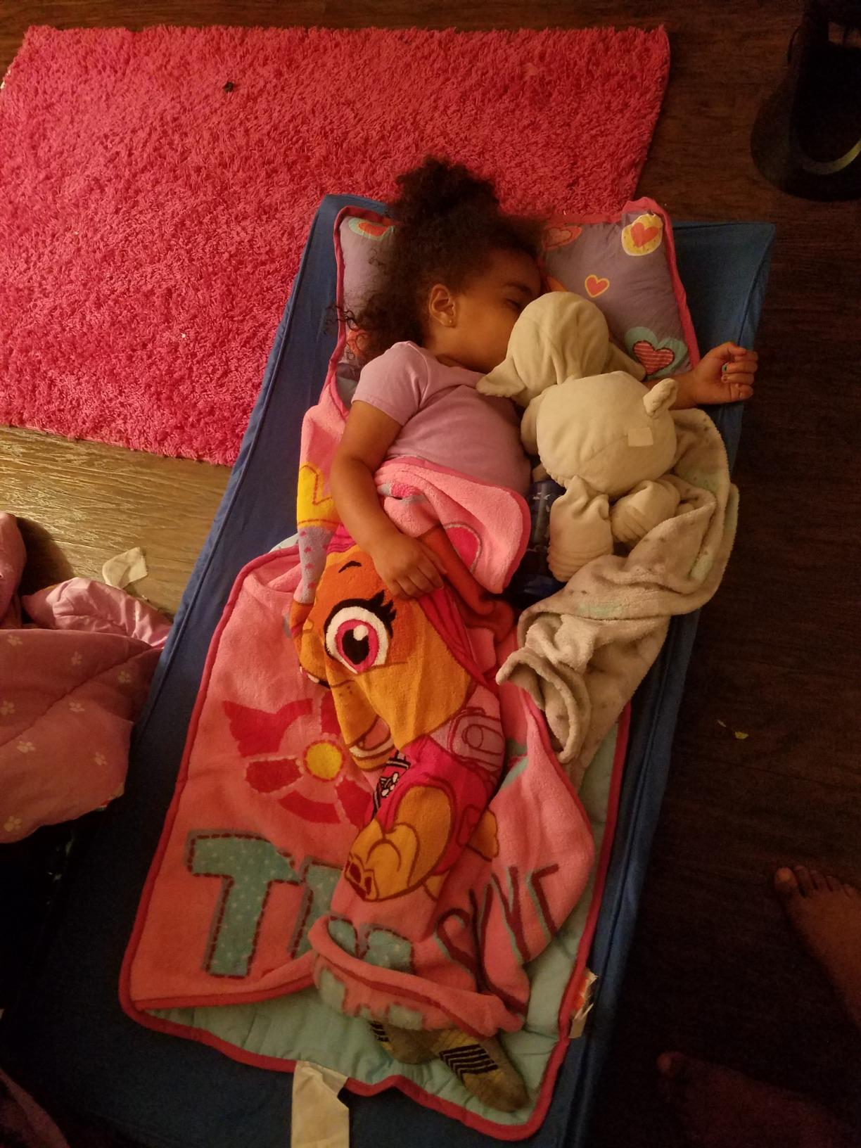 Paw Patrol Team Skye Toddler Nap-Mat Set - Includes Pillow and Plush Blanket – Great for Girls Napping During Daycare or Preschool - Fits Toddlers, Pink customer photo 2