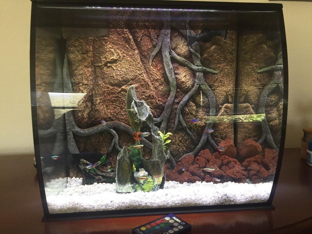 Fluval Flex 57 - 15 Gallon Nano Glass Aquarium Kit customer photo 2