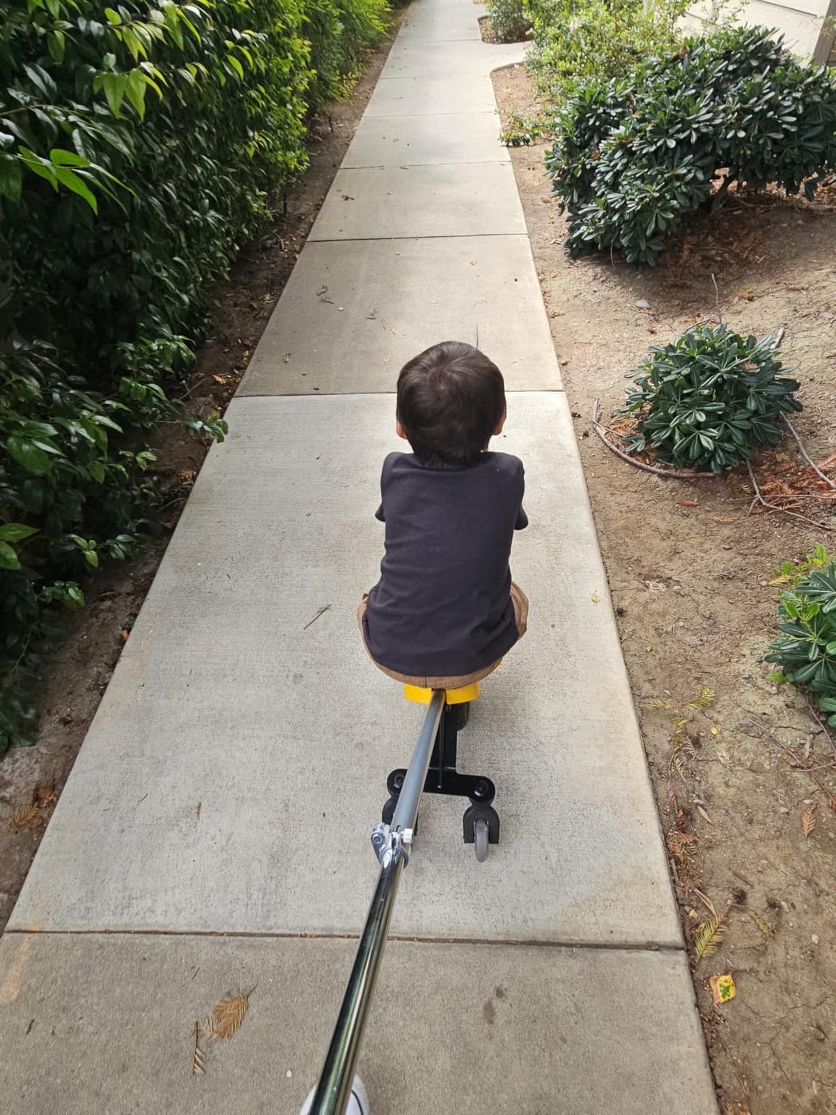Mountain Buggy Unirider customer photo 1