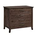 Sauder Carson Forge 2 Drawer Lateral File Cabinet, Rustic Vintage Style Filing Drawers, in Washington Cherry customer photo 1