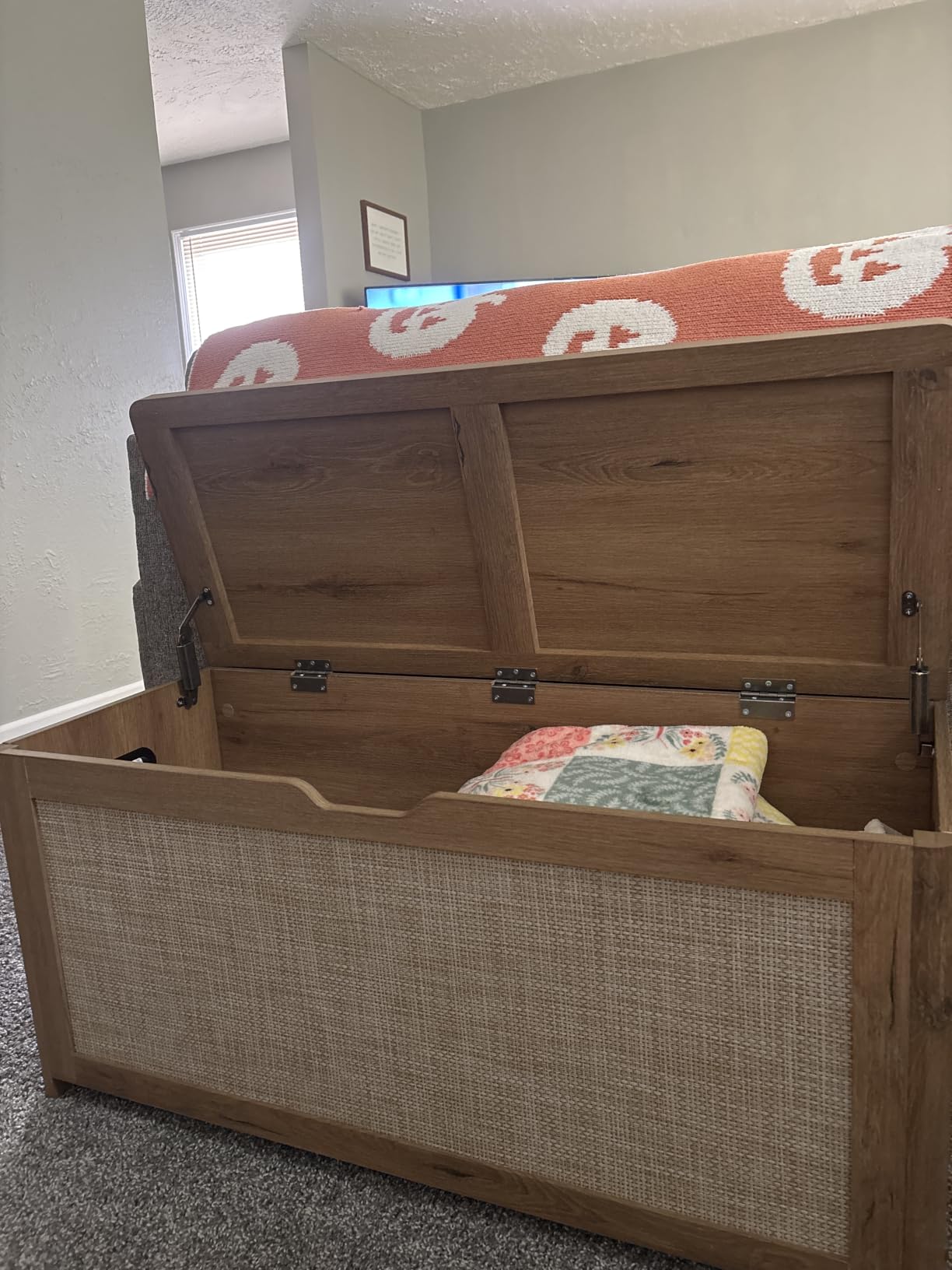VASAGLE Storage Chest, 29.9 Inches Width Bench with 2 Safety Hinges customer photo 2