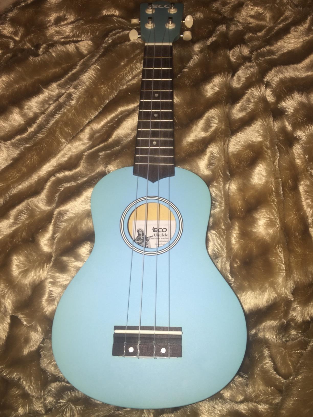 Soprano Ukulele Beginner Kit 21 Inch with Free Online Lesson Fast to Learn customer photo 1