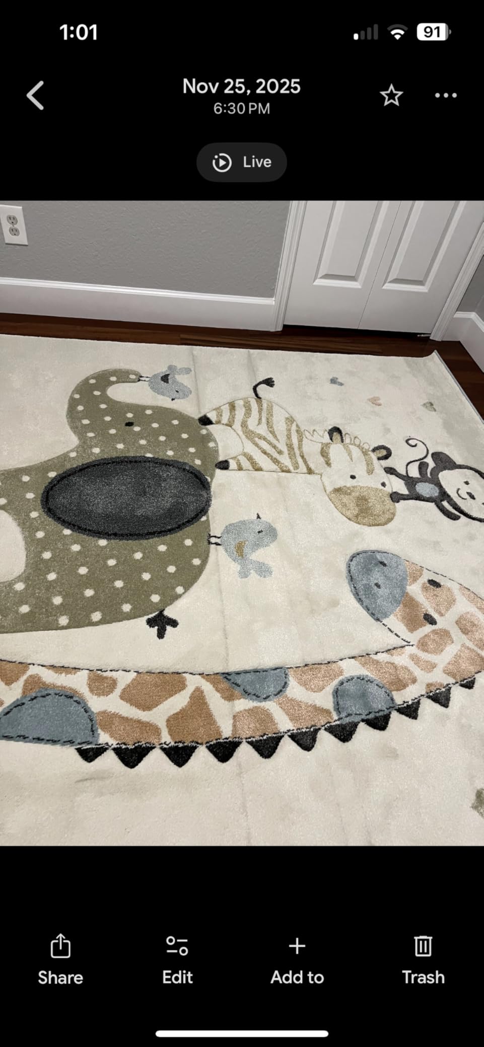 SAFAVIEH Carousel Kids Collection Area Rug - 5'3