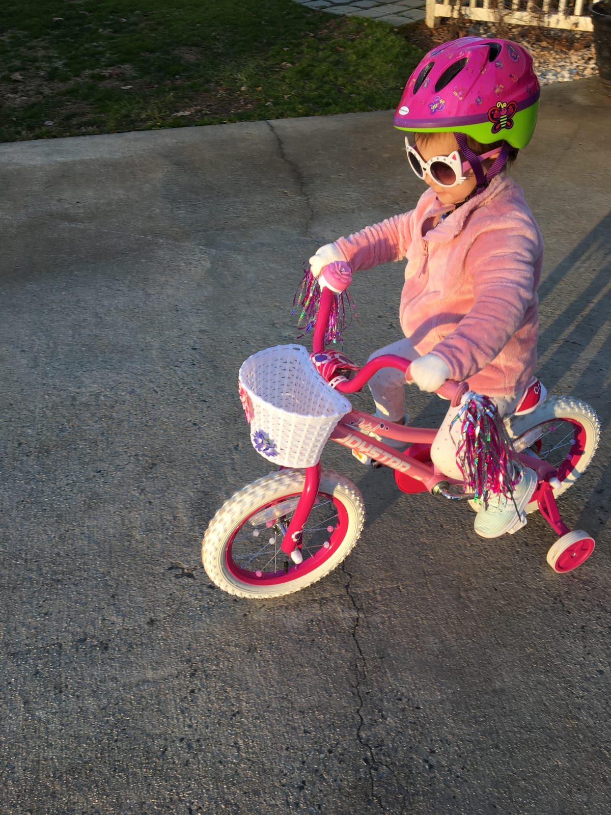 JOYSTAR Petal Girls Bike for Toddlers and Kids Ages 2-10Y customer photo 1