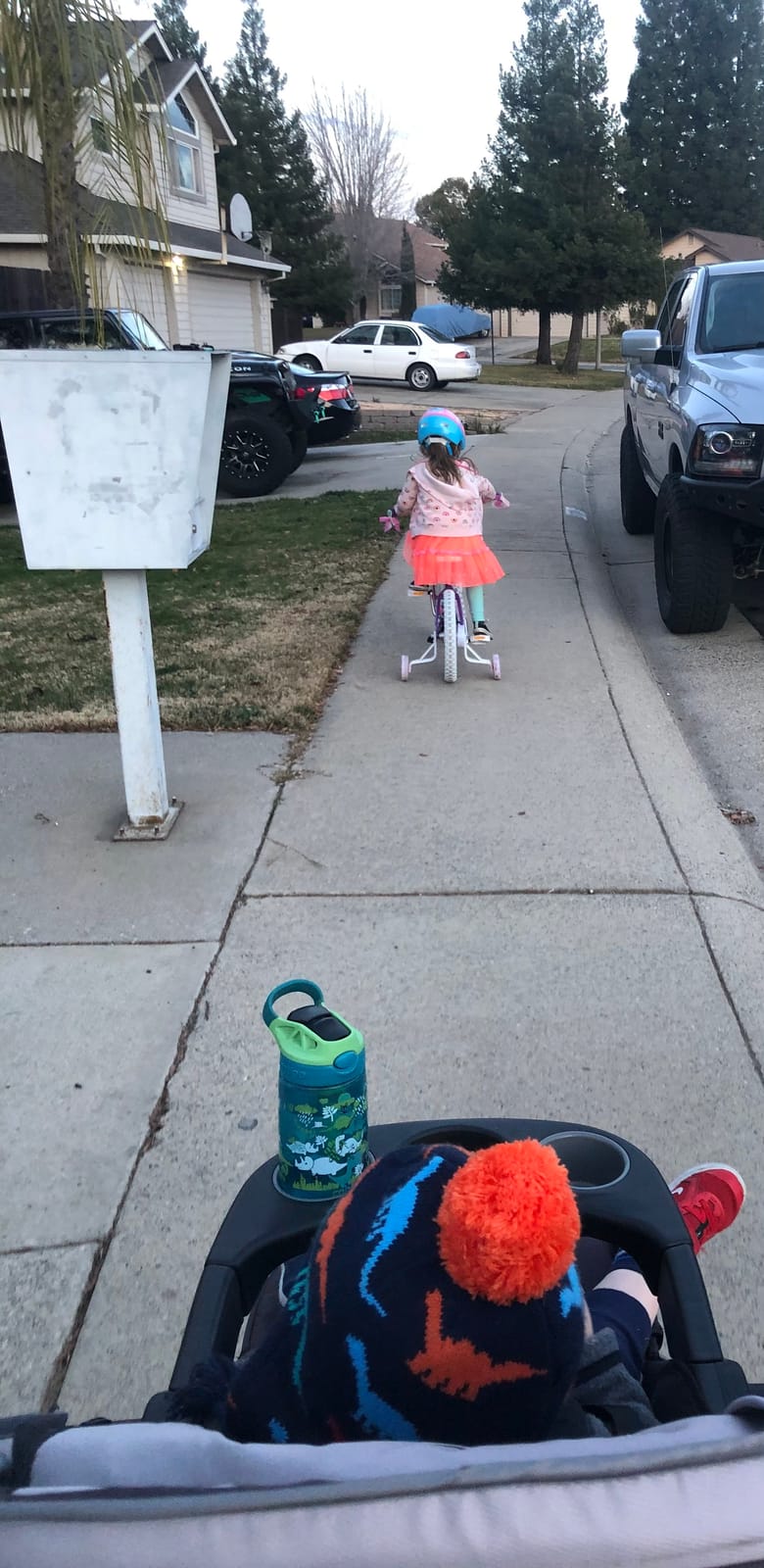 JOYSTAR Petal Girls Bike for Toddlers and Kids Ages 2-10Y customer photo 2