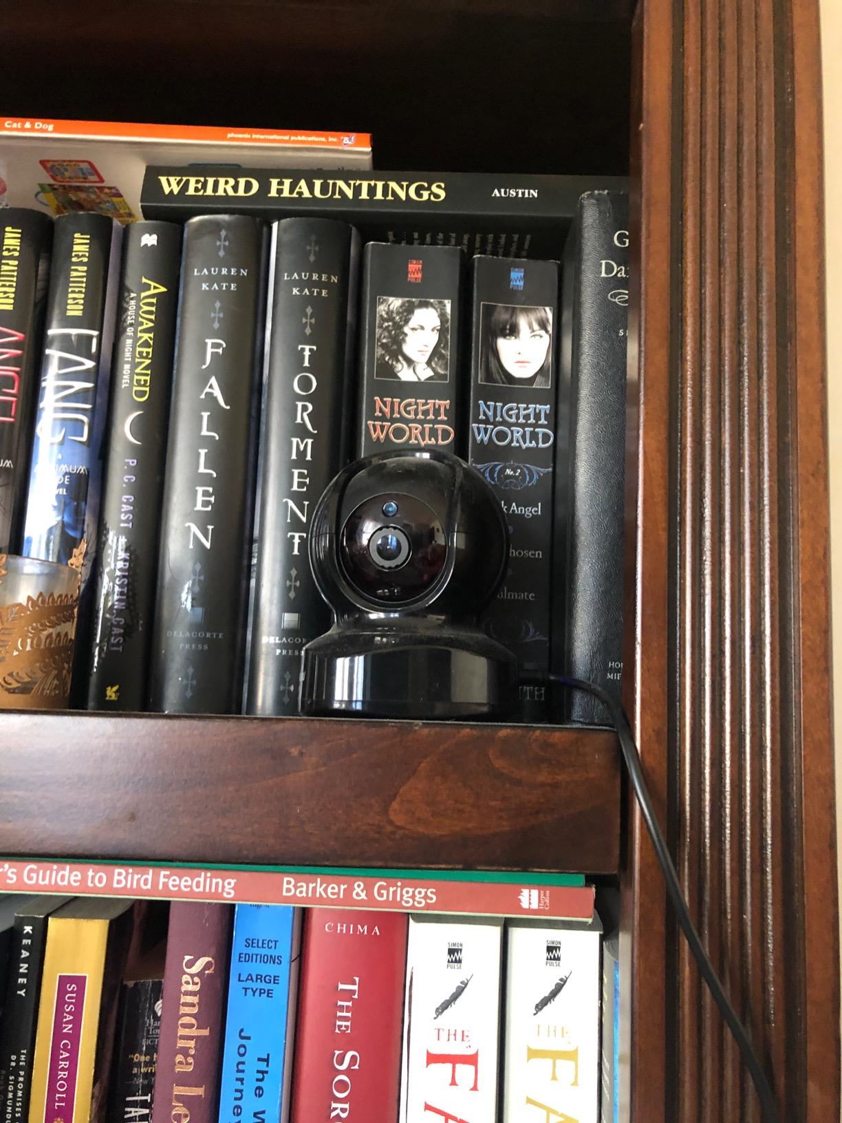 wansview 2K Indoor/Pet Cameras for Home Security, 2.4G WiFi Only, Q5 3MP B customer photo 2