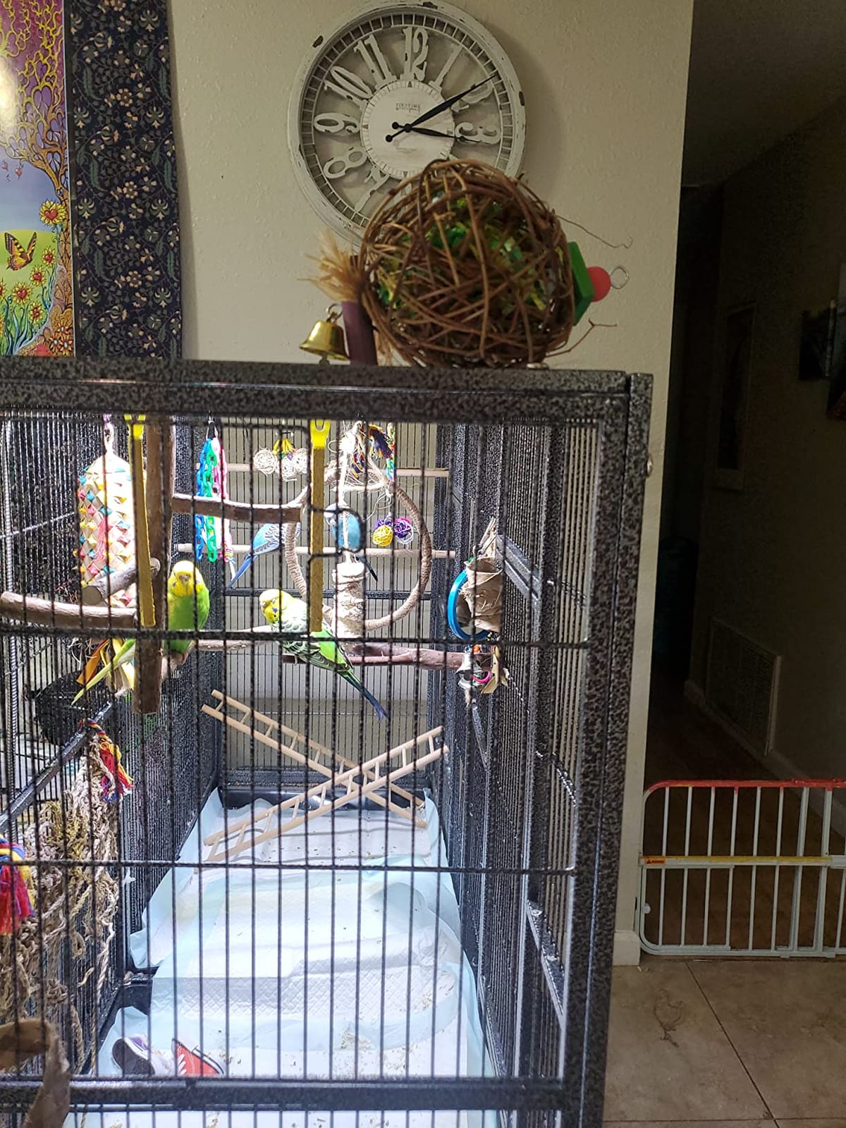 EBaokuup 2 Pack Bird Chewing Toys Foraging Shredder Parrot Cage Shredder Hanging Toy for Cockatiel Conure African Grey Amazon customer photo 1