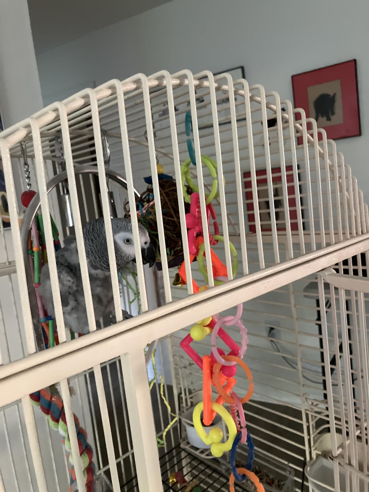 EBaokuup 2 Pack Bird Chewing Toys Foraging Shredder Parrot Cage Shredder Hanging Toy for Cockatiel Conure African Grey Amazon customer photo 2