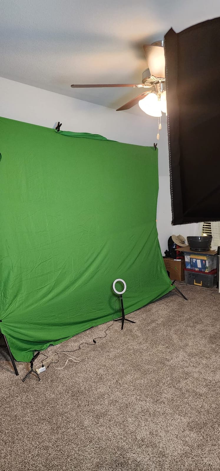 SLOW DOLPHIN Photo Video Studio 12ft (W) x 10ft (H) Heavy Duty Adjustable Photography Backdrop Stand Background Support System Kit with Carry Bag customer photo 2
