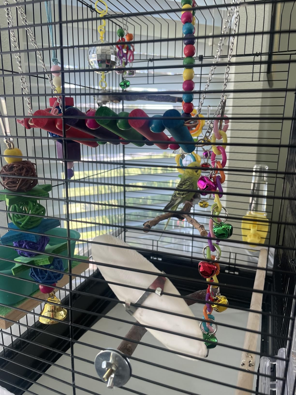 8 Pcs Parakeet Cockatiel Bird Toys, Parrots Conures Budgies Cage Accessories customer photo 2