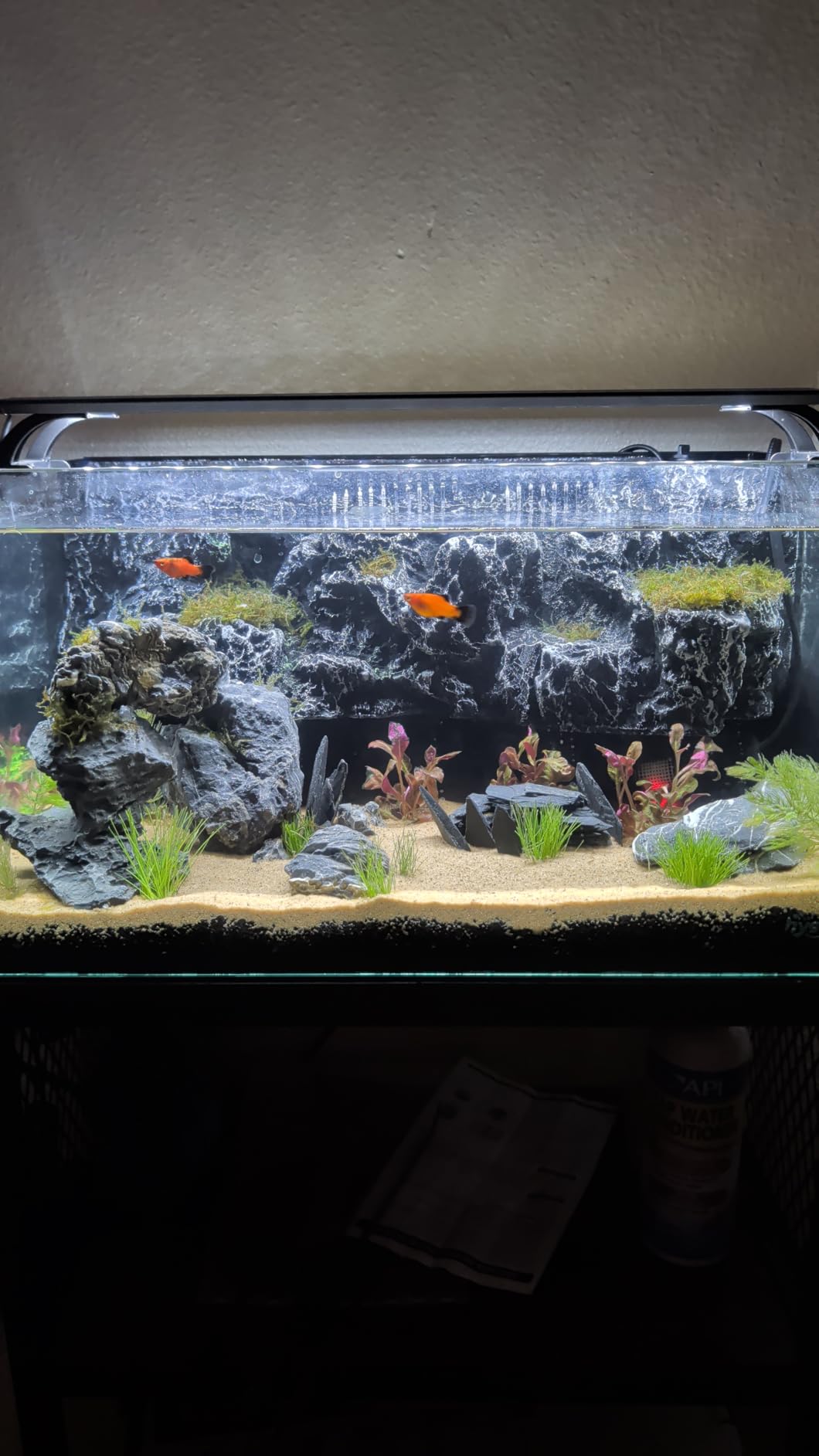 hygger Horizon 8 Gallon LED Glass Aquarium Kit for Starters with 7W Power Filter Pump, 18W Colored led Light, Wide View Curved Shape Fish Tank with Undetachable 3D Rockery Background Decor customer photo 1