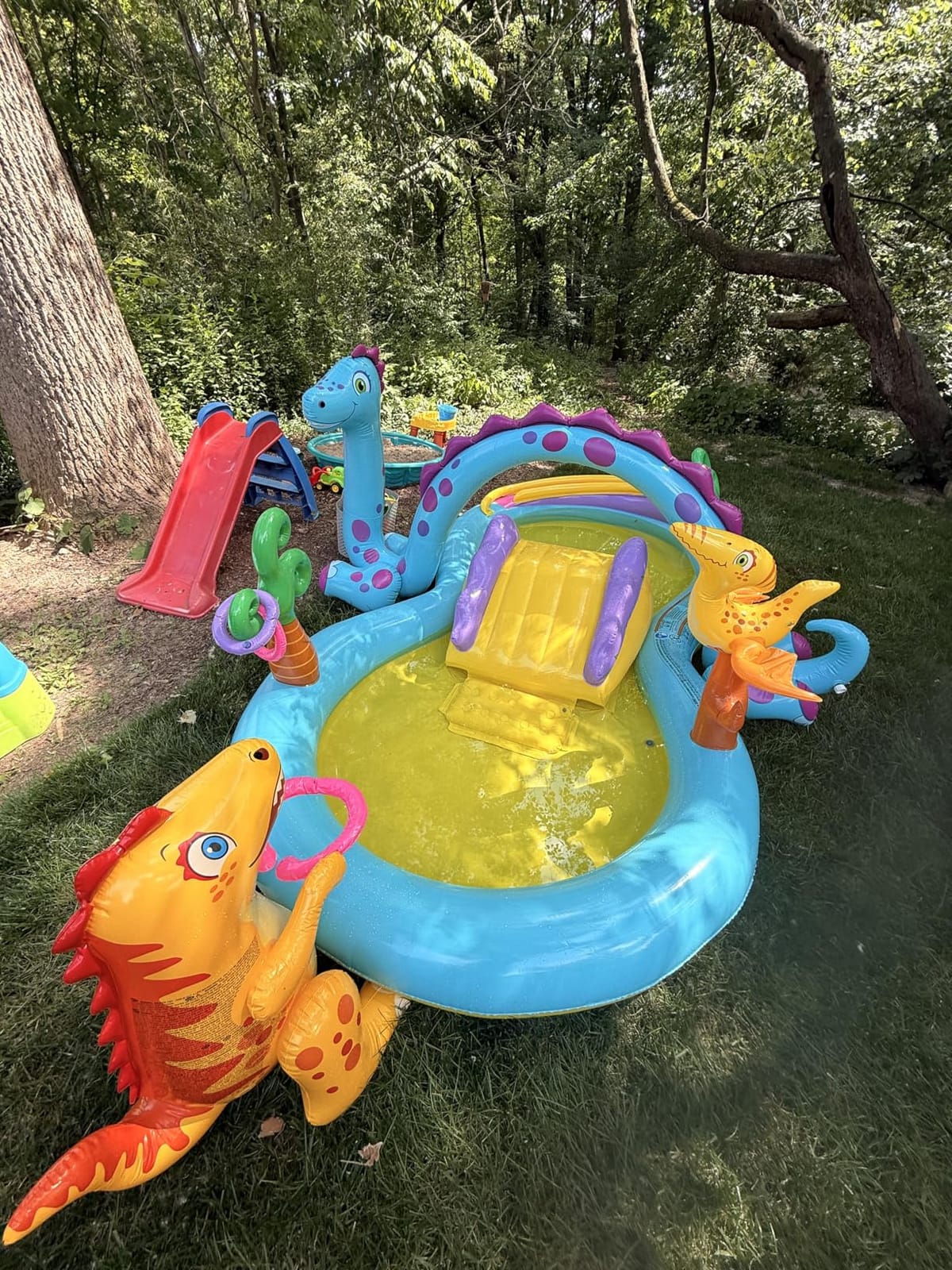 INTEX Gator Inflatable Swim Center & Kiddie Pool for Outdoor Play | 57165EP - Blow Up Water Park with Slide, Sprinkler, and Floatie for Kids Ages 2 and Up customer photo 1