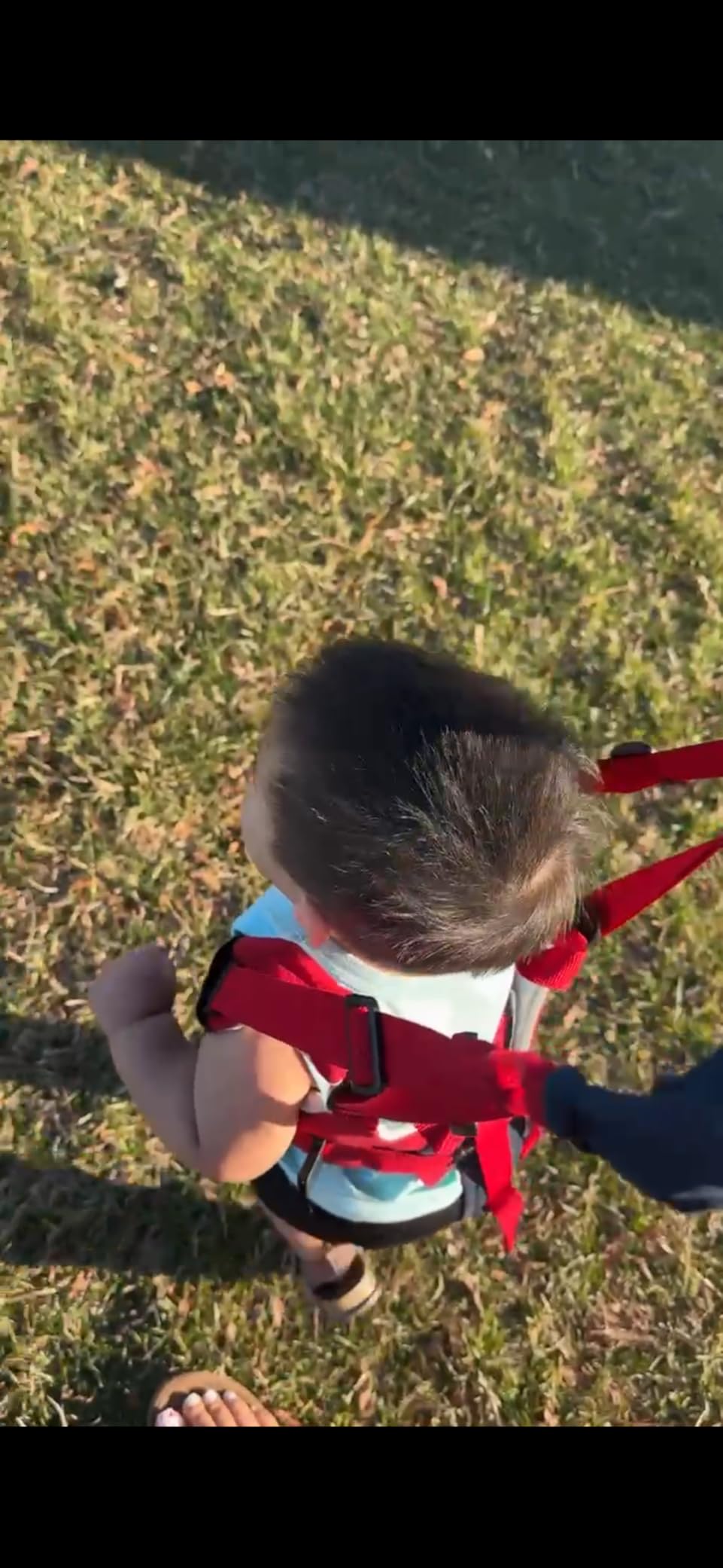 Watolt Baby Walking Harness, Toddler Walker Assistant Belt, 7-24 Months customer photo 1