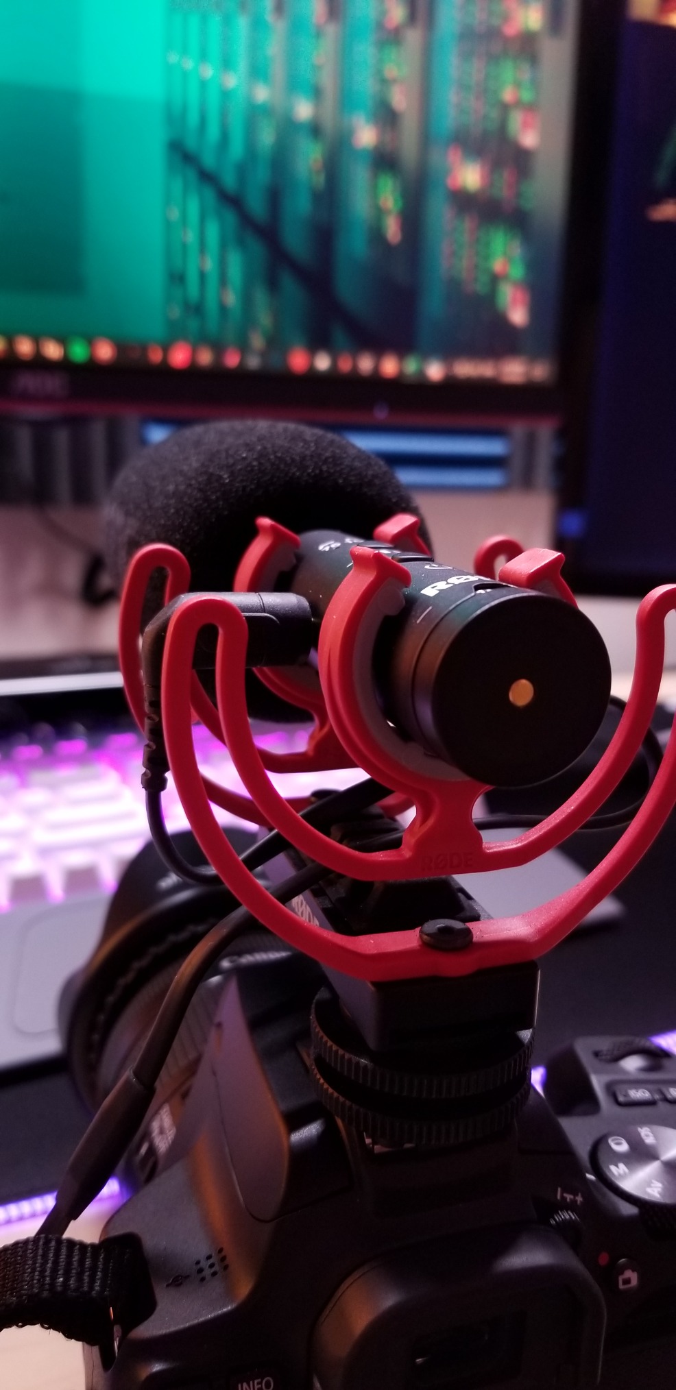 Rode VideoMic NTG Camera-mount Shotgun Microphone,Black customer photo 1