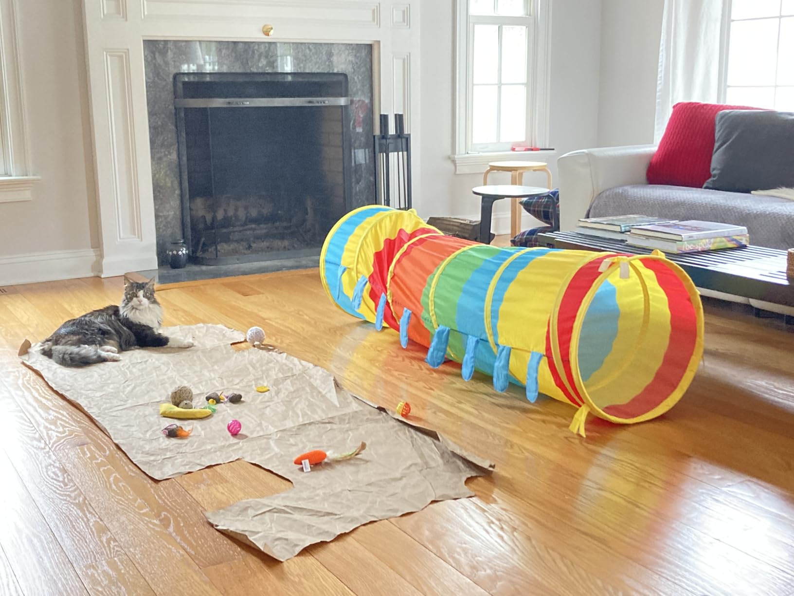 Melissa & Doug Sunny Patch Giddy Buggy Crawl-Through Tunnel (E-Commerce Packaging) customer photo 1