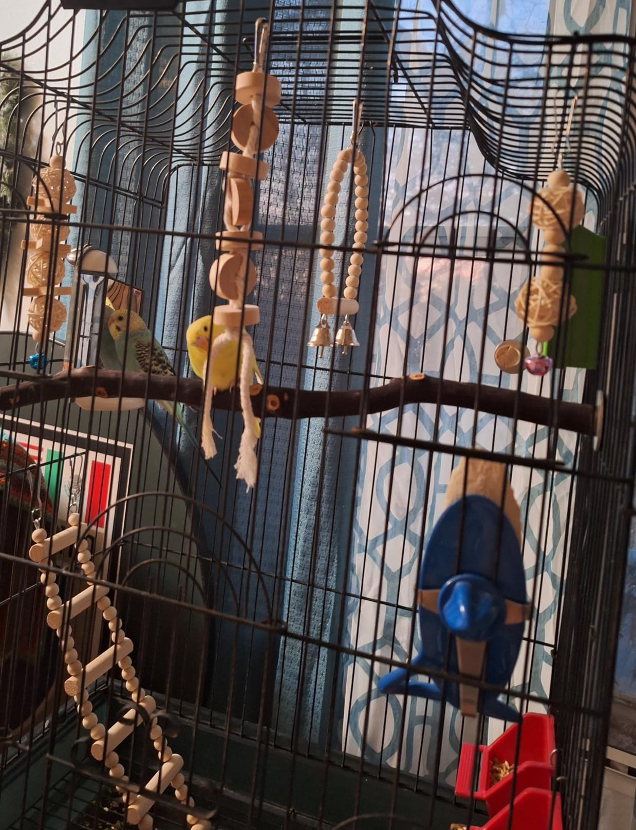 Bird Parrot Swing Toys, Chewing Standing Hanging Perch Hammock Climbing Ladder Bird Cage Toys for Budgerigar, Parakeet, Conure, Cockatiel, Mynah, Love Birds, Finches and Other Small to Medium Birds customer photo 1