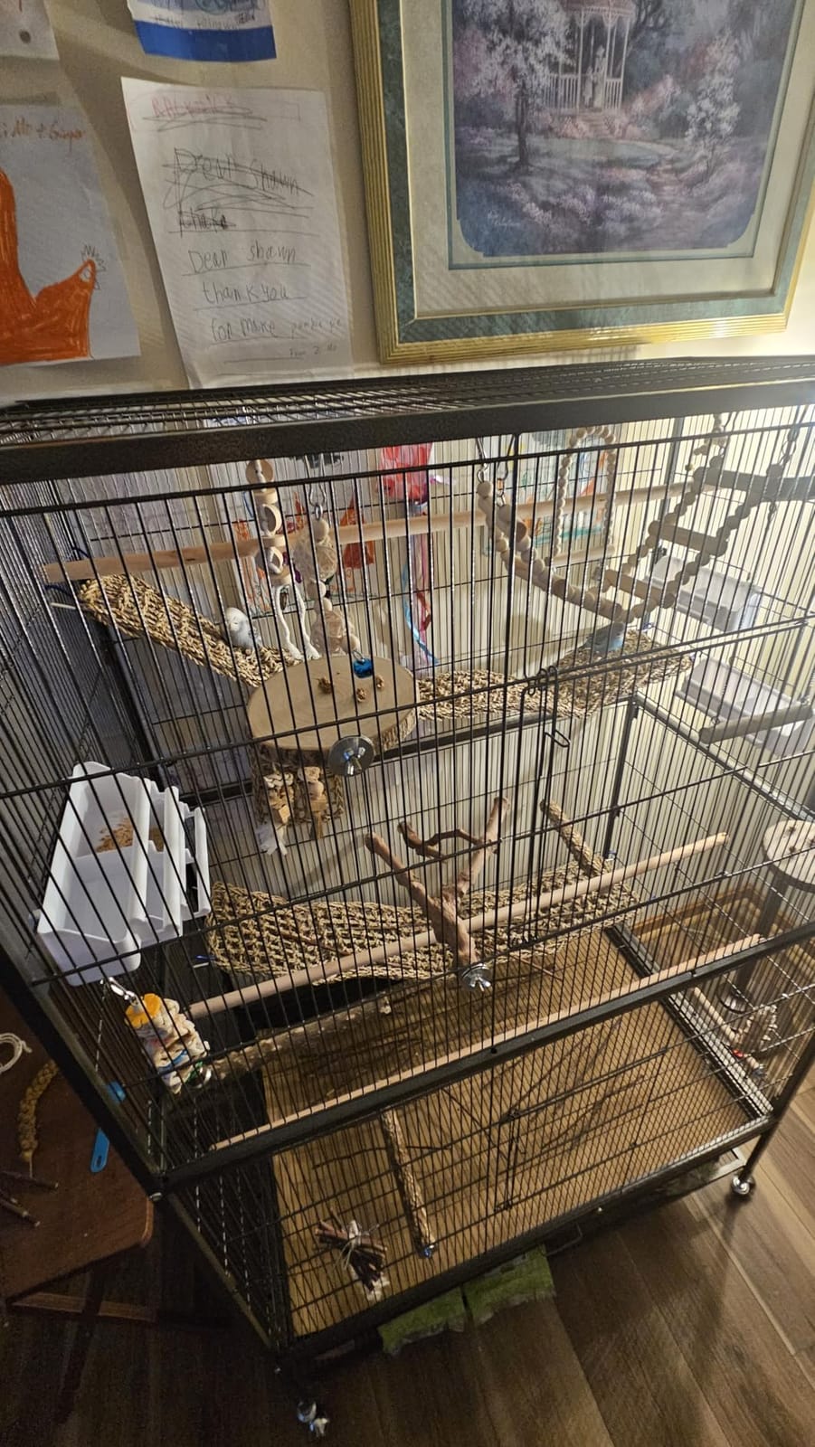 Bird Parrot Swing Toys, Chewing Standing Hanging Perch Hammock Climbing Ladder Bird Cage Toys for Budgerigar, Parakeet, Conure, Cockatiel, Mynah, Love Birds, Finches and Other Small to Medium Birds customer photo 2
