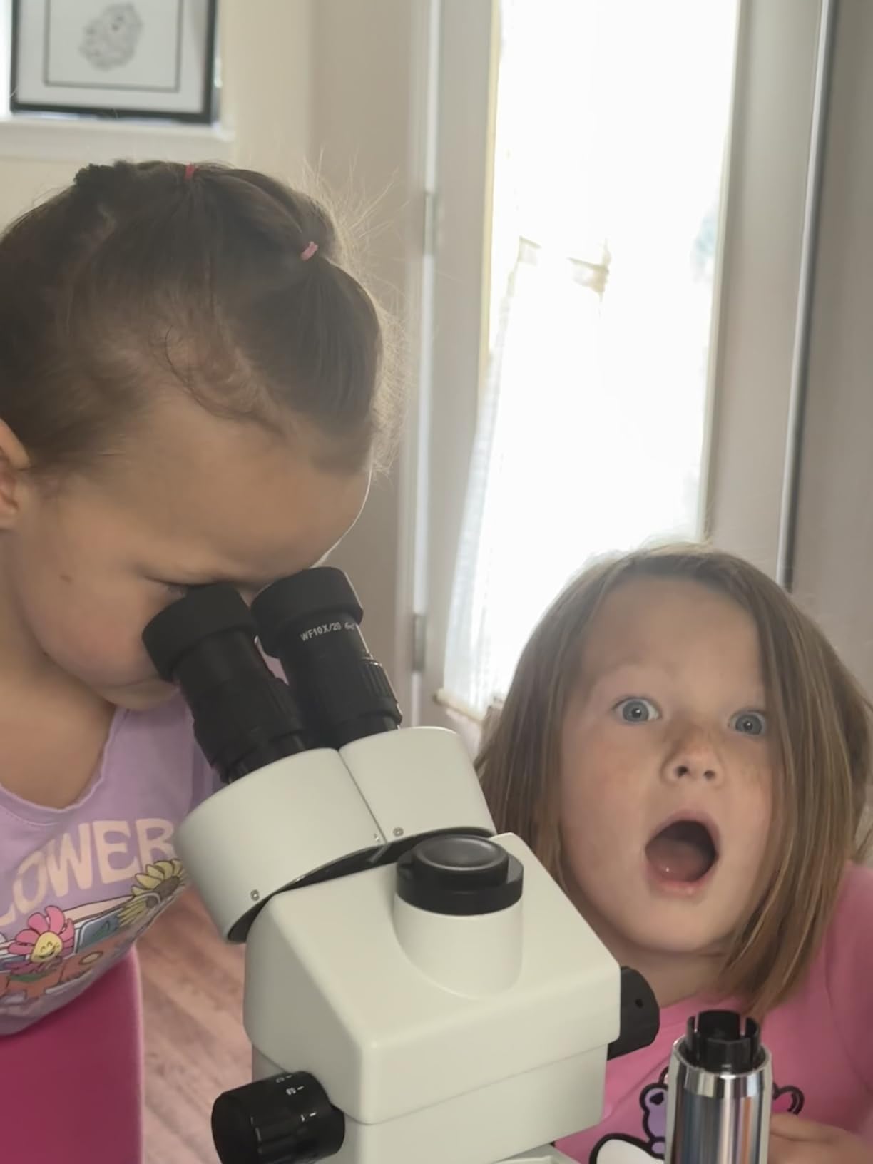 SWIFT Trinocular Stereo Zoom Microscope with 56-Bulb LED Ring Light, 3.5X-90X Magnification, WF10X Eyepieces, 0.7X-4.5X Zoom Objective customer photo 2