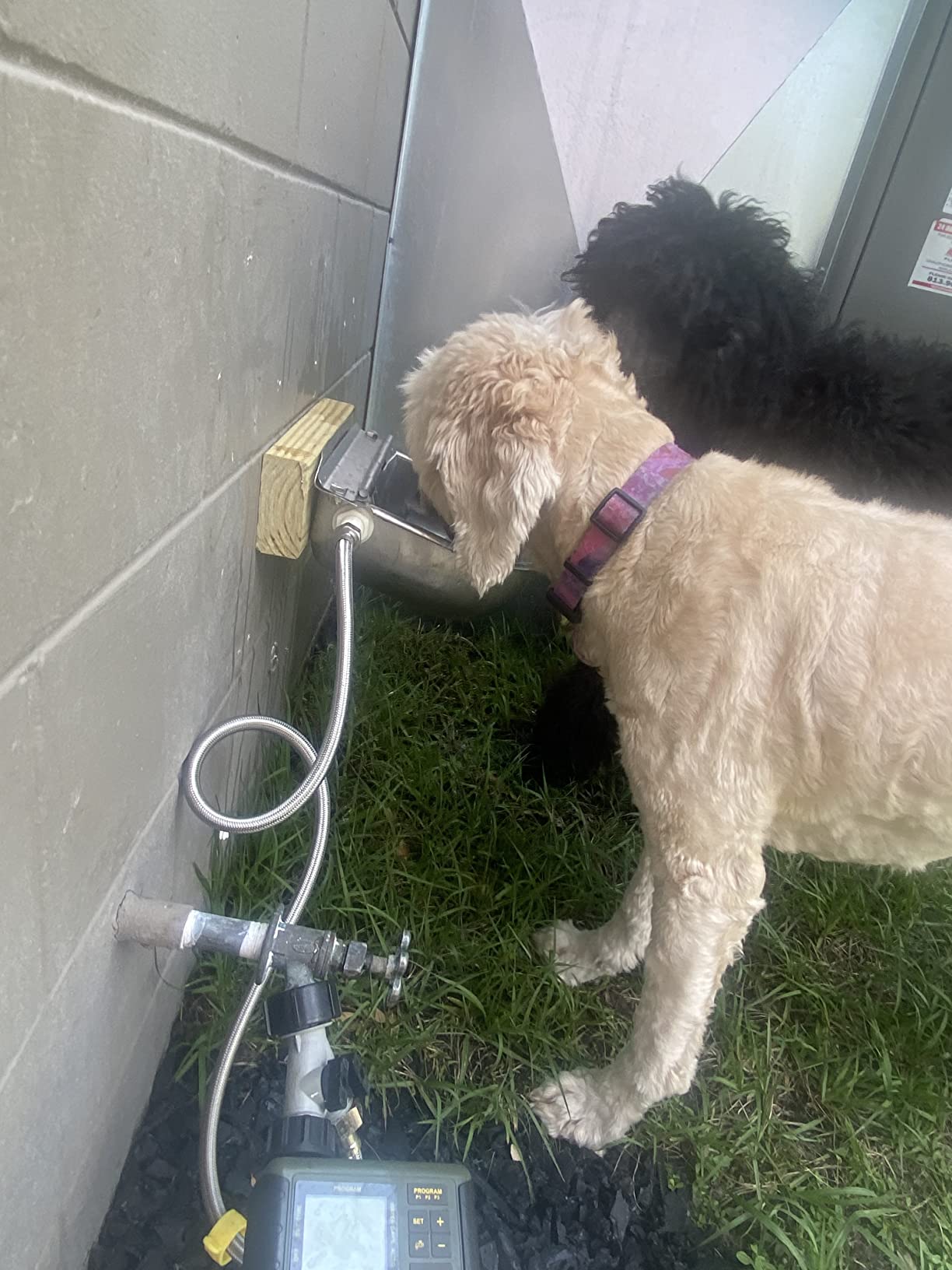 304 Stainless Steel Automatic Livestock Waterer with Float Valve and 39 inch Water Hose customer photo 1