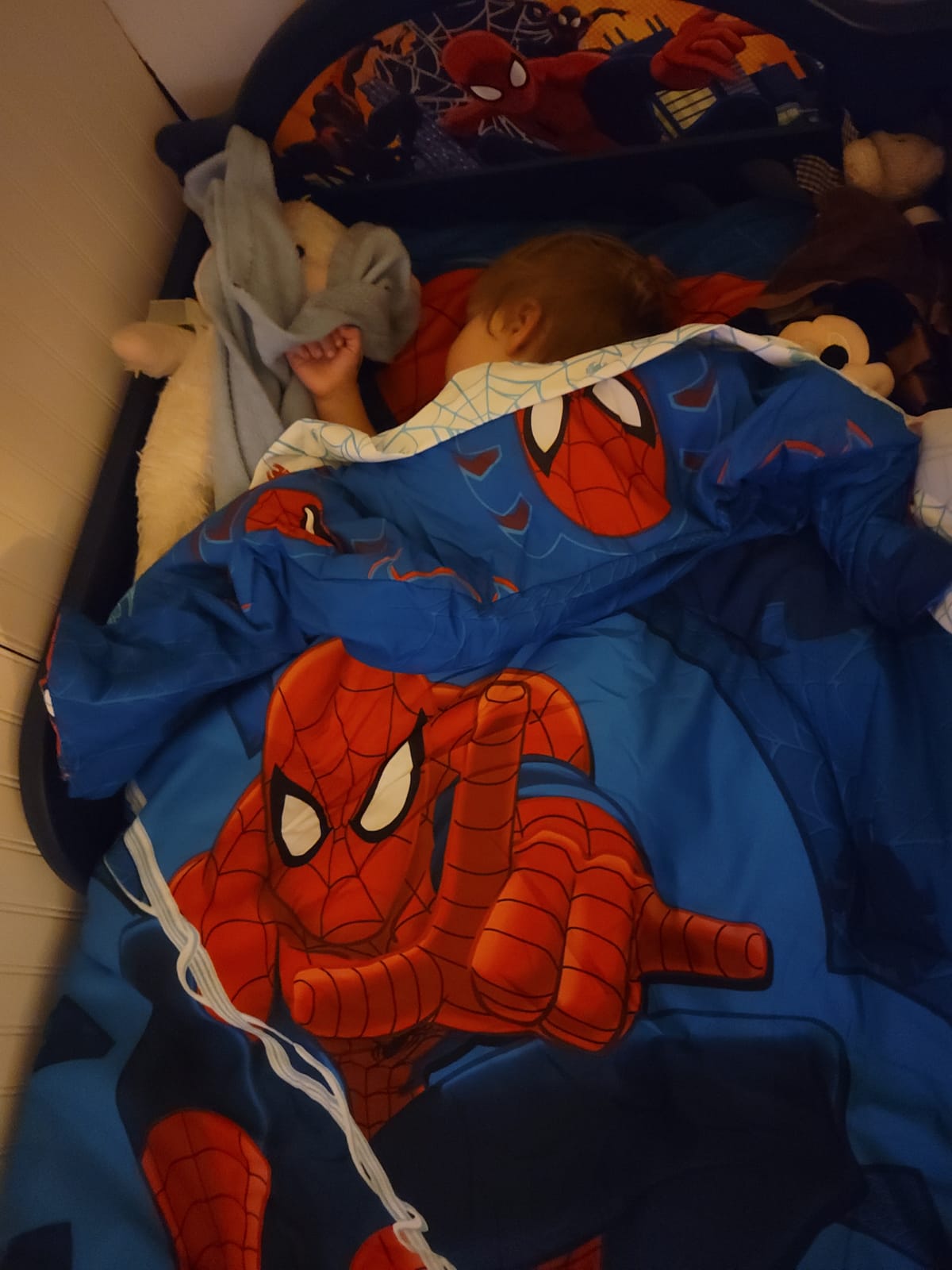 Delta Children Plastic Toddler Bed, Marvel Spider-Man + Delta Children Twinkle Galaxy Dual Sided Recycled Fiber Core Toddler Mattress (Bundle) customer photo 1