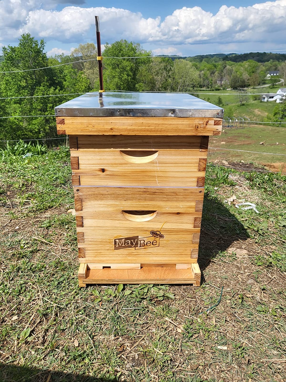 Beehive 8 Frame Bee Hives and Supplies Starter Kit, Bee Hive for Beginner, Honey Bee Hives Includes 1 Deep Bee Boxes, 1 Bee Hive Super with Beehive Frames and Foundation customer photo 2