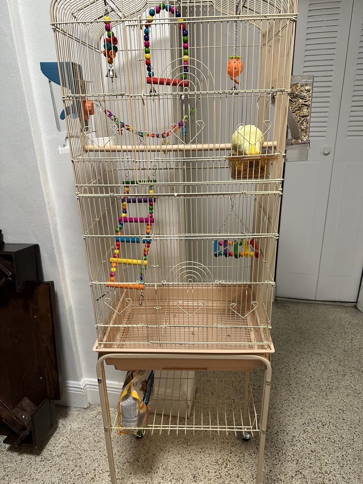 Bird Parakeet Toys - Swing Hanging Standing Chewing Hammock Climbing Ladder Bird Cage Colorful Toys Suitable for Budgerigar, Parakeet, Conure, Cockatiel, Mynah, Love Birds, Finches customer photo 1