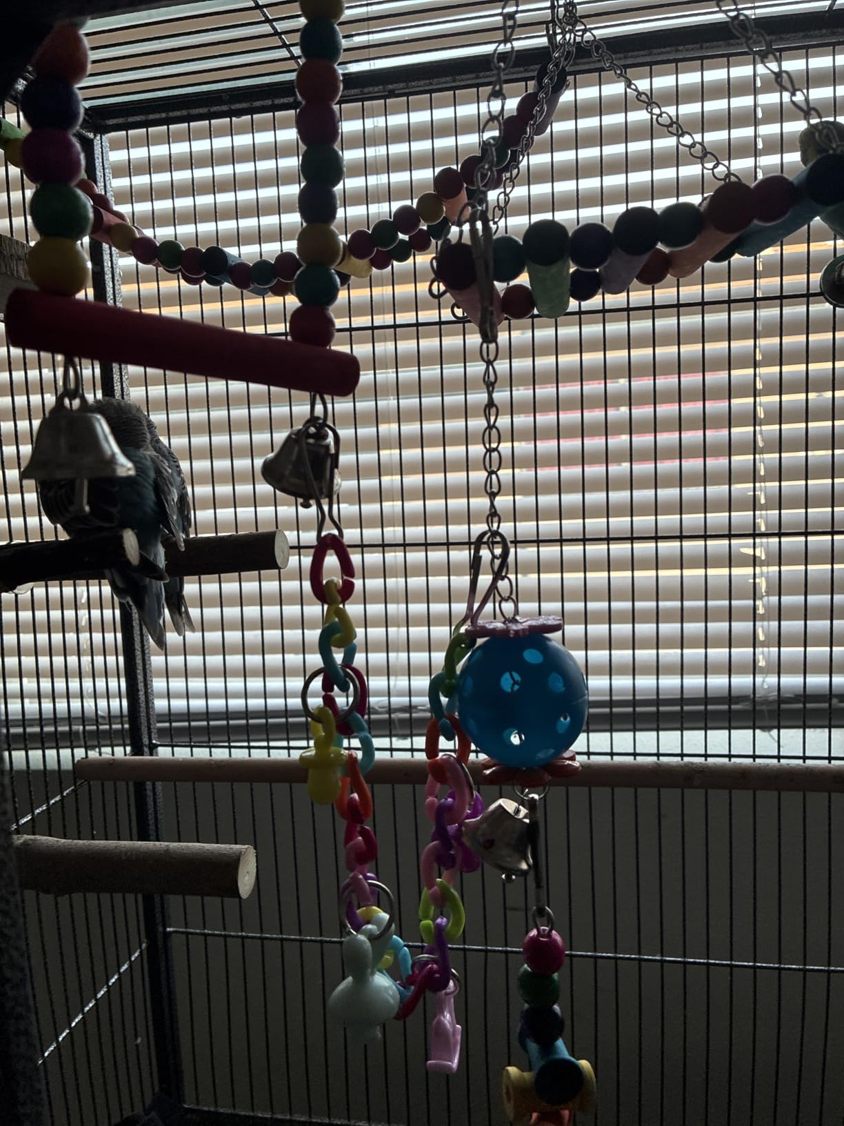 Bird Parakeet Toys - Swing Hanging Standing Chewing Hammock Climbing Ladder Bird Cage Colorful Toys Suitable for Budgerigar, Parakeet, Conure, Cockatiel, Mynah, Love Birds, Finches customer photo 2