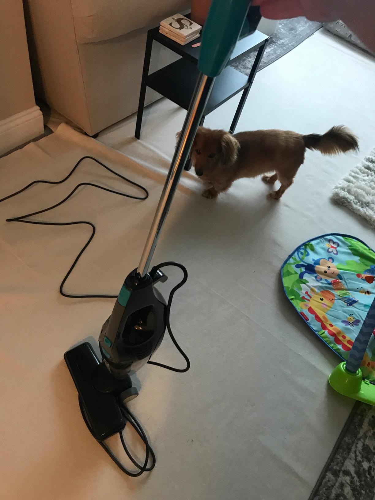 Eureka Blaze Stick Vacuum Cleaner, 3-in-1 Small Vacuum for Home, Aqua Blue customer photo 1