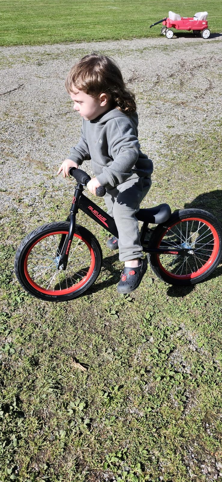 16 Inch Kids Balance Bike for 4-8 Years Old, Adjustable Seat customer photo 1
