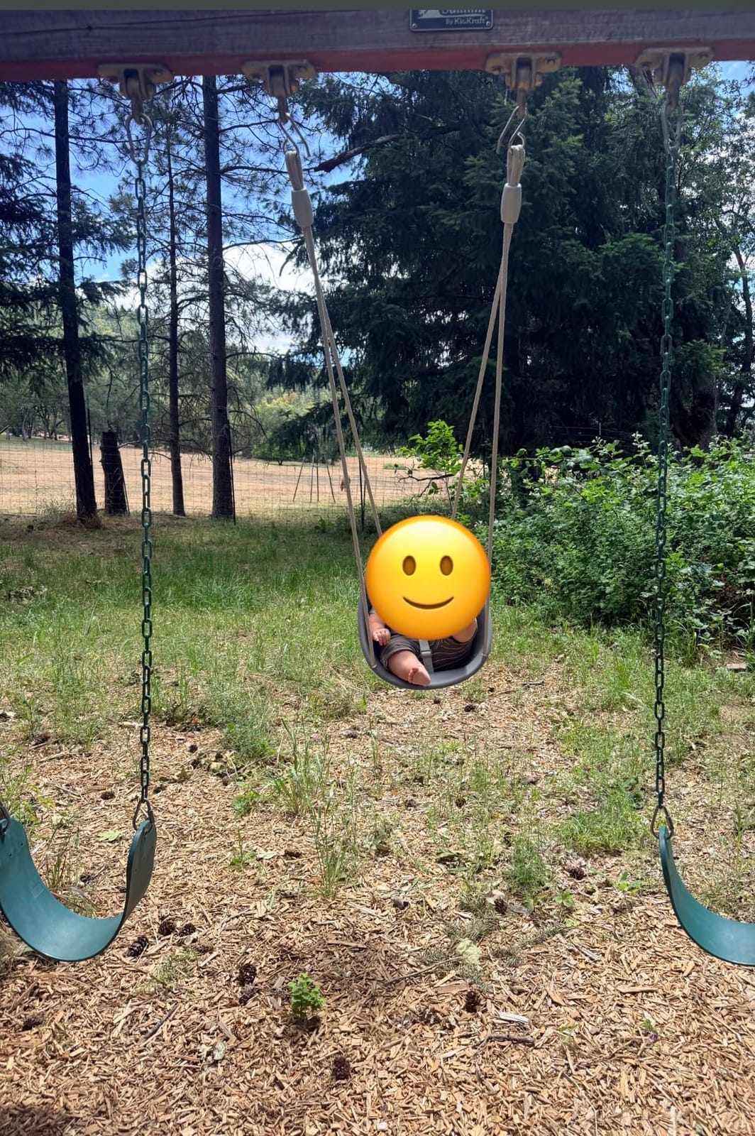 Swurfer Coconut Toddler Swing – Comfy Baby Swing Outdoor, 3- Point Adjustable Safety Harness, Secure, Safe Quick Click Locking System, Blister-Free Rope, Easy Installation, Ages 6-36 Months customer photo 1