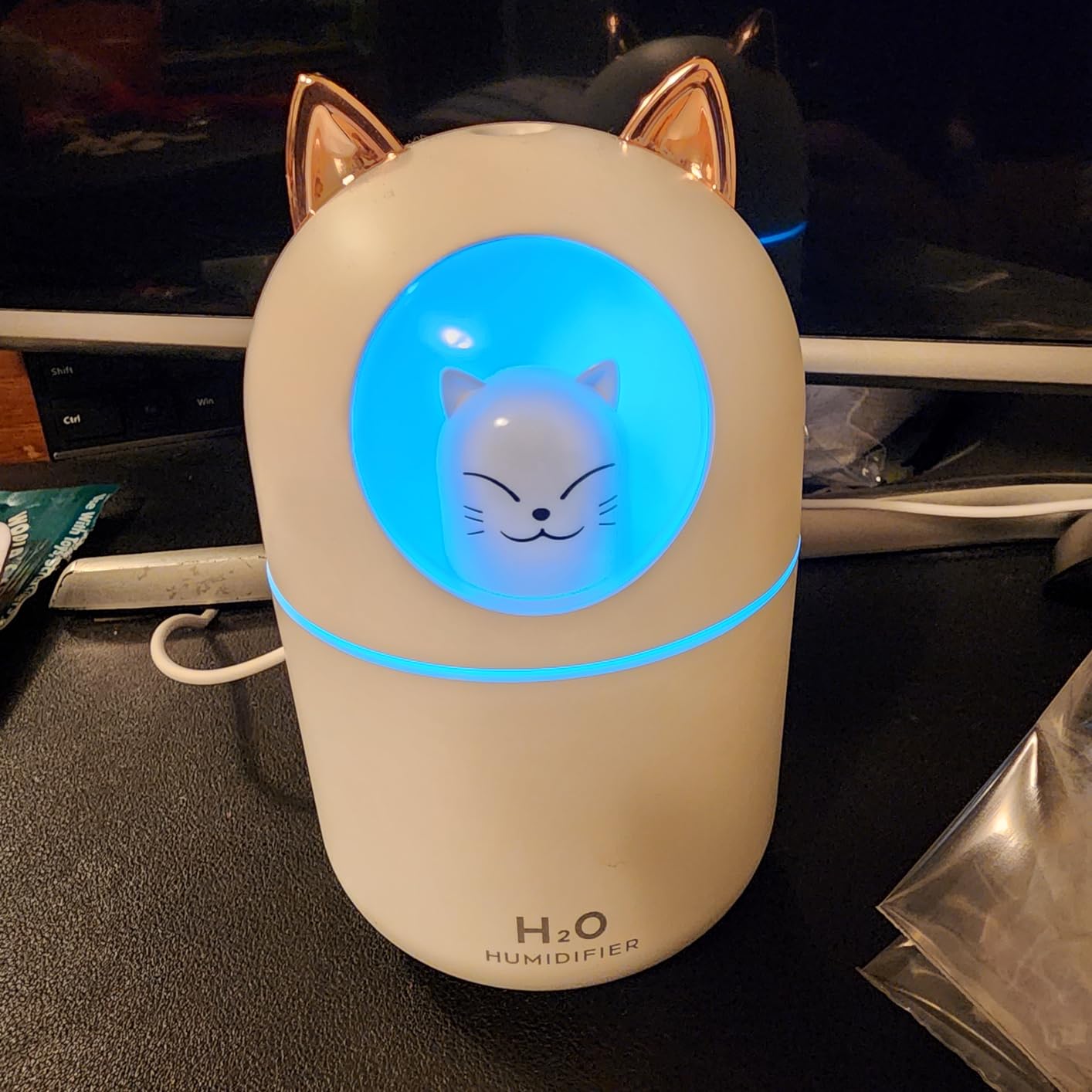 Cool Mist Humidifier,300ml Mini Humidifiers with Night Light,Waterless Auto-Off Air Humidifier,20dB Quiet Humidifiers for Bedroom,Car, Plant for Girl Boy customer photo 1