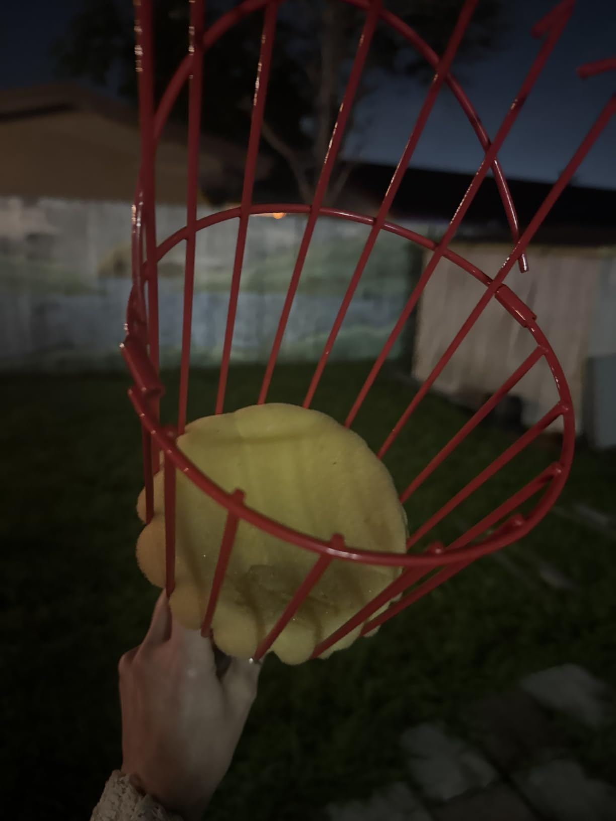DonSail Fruit Picker Pole Tool with Basket Long Handle, 35-65 Inch Adjustable Apple Orange Picker Pole Tool with Basket for Avocado Acorn Lemon Pear Mango Tree Picker customer photo 2