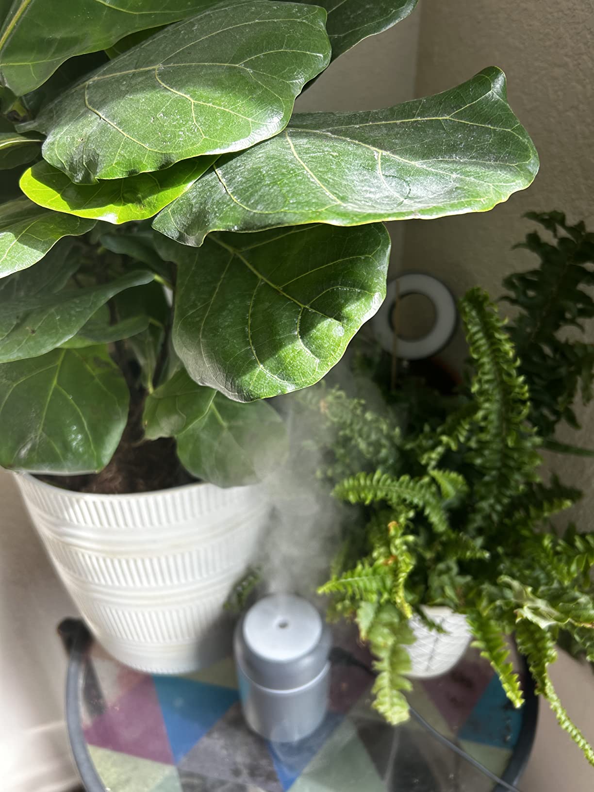 Portable Mini Humidifier, 300ml with Colorful LED Night Light, USB Personal Desktop Humidifier for Car Office Home Travel, Auto Shut-Off, 2 Mist Modes, Super Quiet(grey) customer photo 1