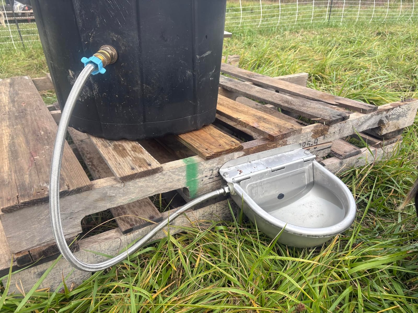 Ademon Automatic Animal Drinking Water Bowl with Float Valve, Standard Pipe, 3L Stainless Steel Waterer Feeder for Livestock Horse Goat customer photo 1