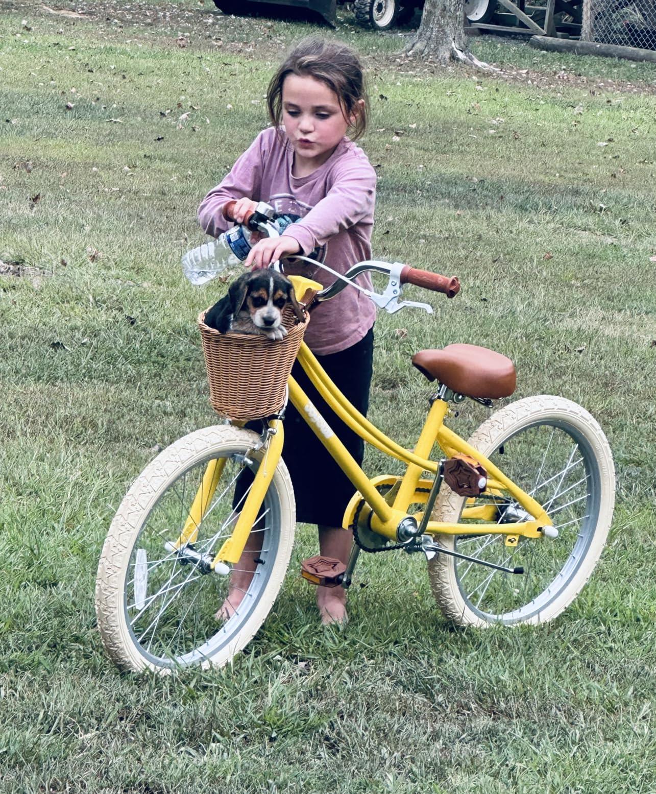 JOYSTAR Fantasy Girls Bike for Toddlers and Kids 2-12 Years Old customer photo 2