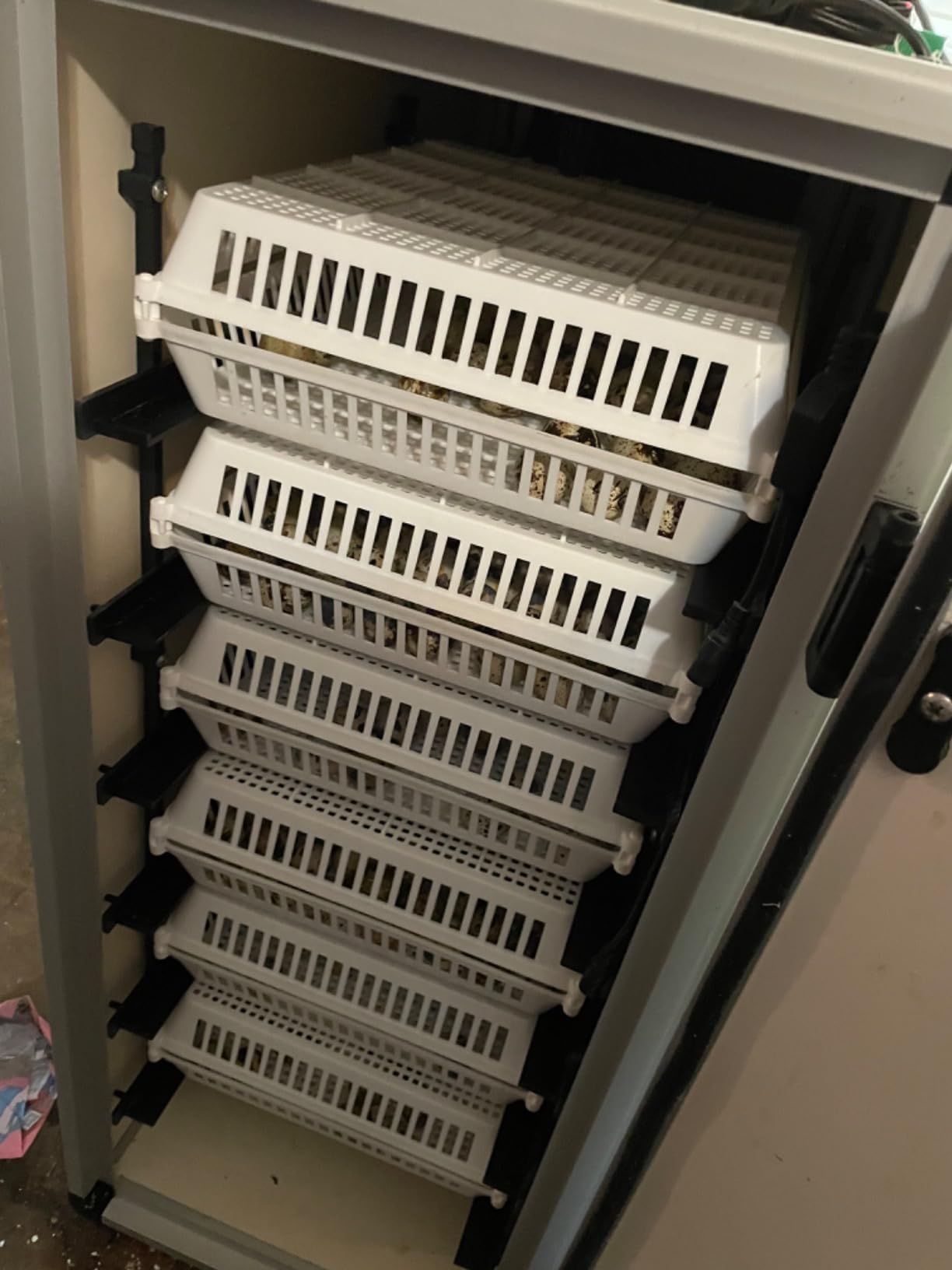 Incubators for Hatching Eggs - 180 Egg Incubator Setter & Hatcher with Automatic Turner & Digital Humidity Control Cabinet, Large Chicken Incubator & Quail Egg Incubator by Hatching Time customer photo 2