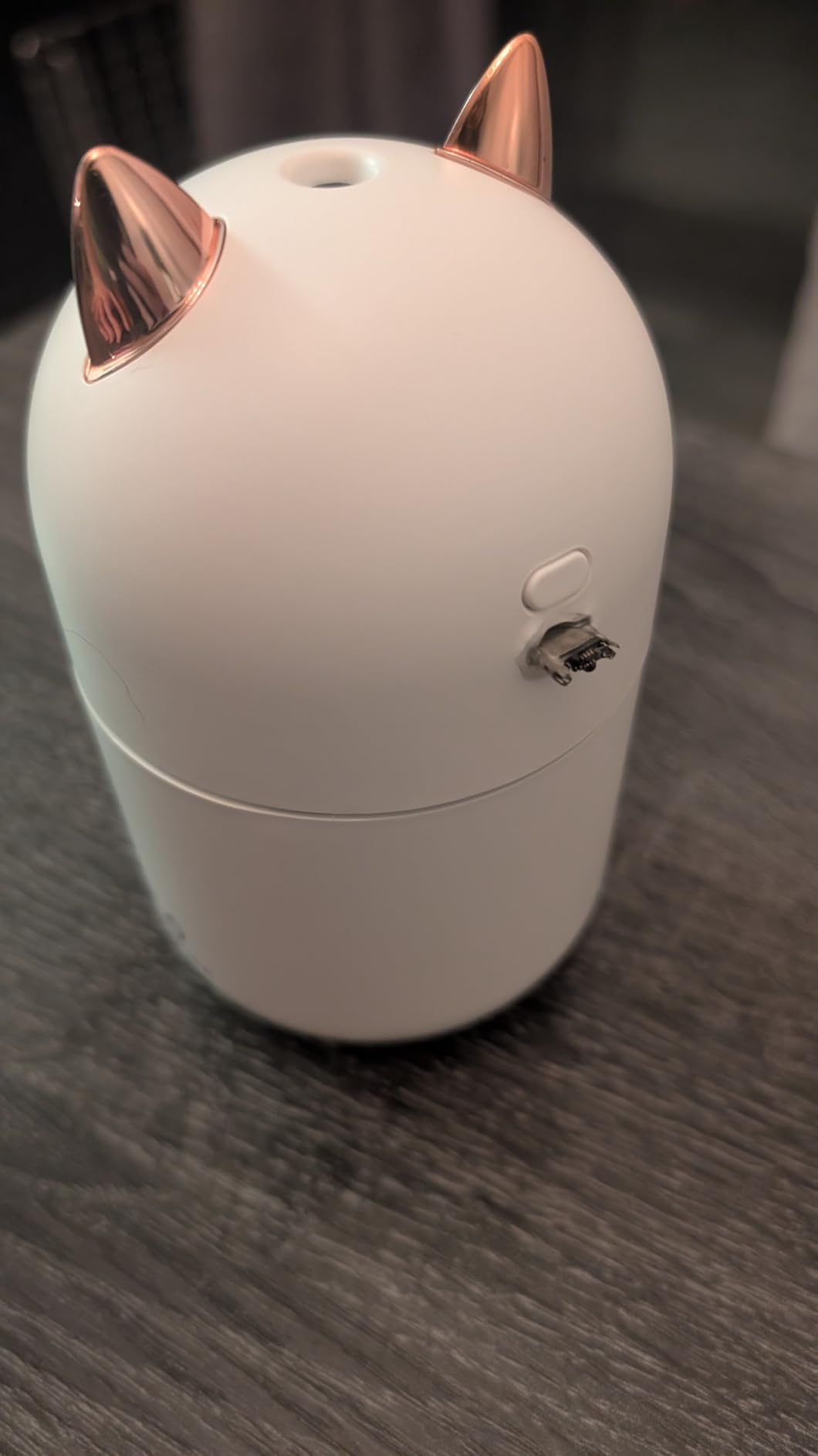 Portable Small Humidifier, 300ml Mini Cool Mist Humidifier with Night Light, USB Personal Humidifier Auto Shut-Off, Ultra-Quiet, 2 Spray Modes, Suitable for Home Office Travel(white) customer photo 1