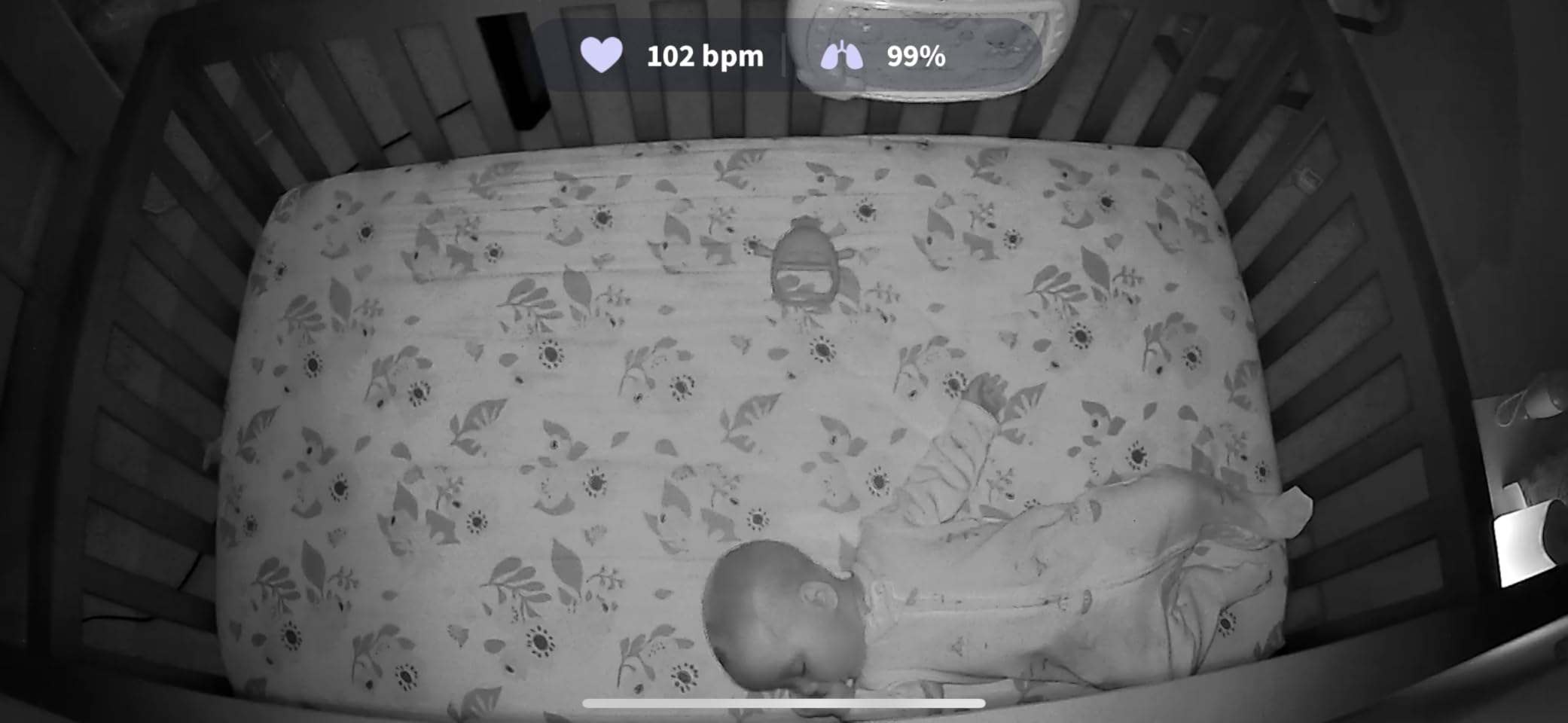 Owlet® Dream Duo (Gen 1) Smart Baby Monitor: FDA-Cleared Dream Sock® Plus Owlet Cam 2 - Tracks & Notifies for Pulse Rate & Oxygen While Viewing Baby in 1080p HD WiFi Video customer photo 1