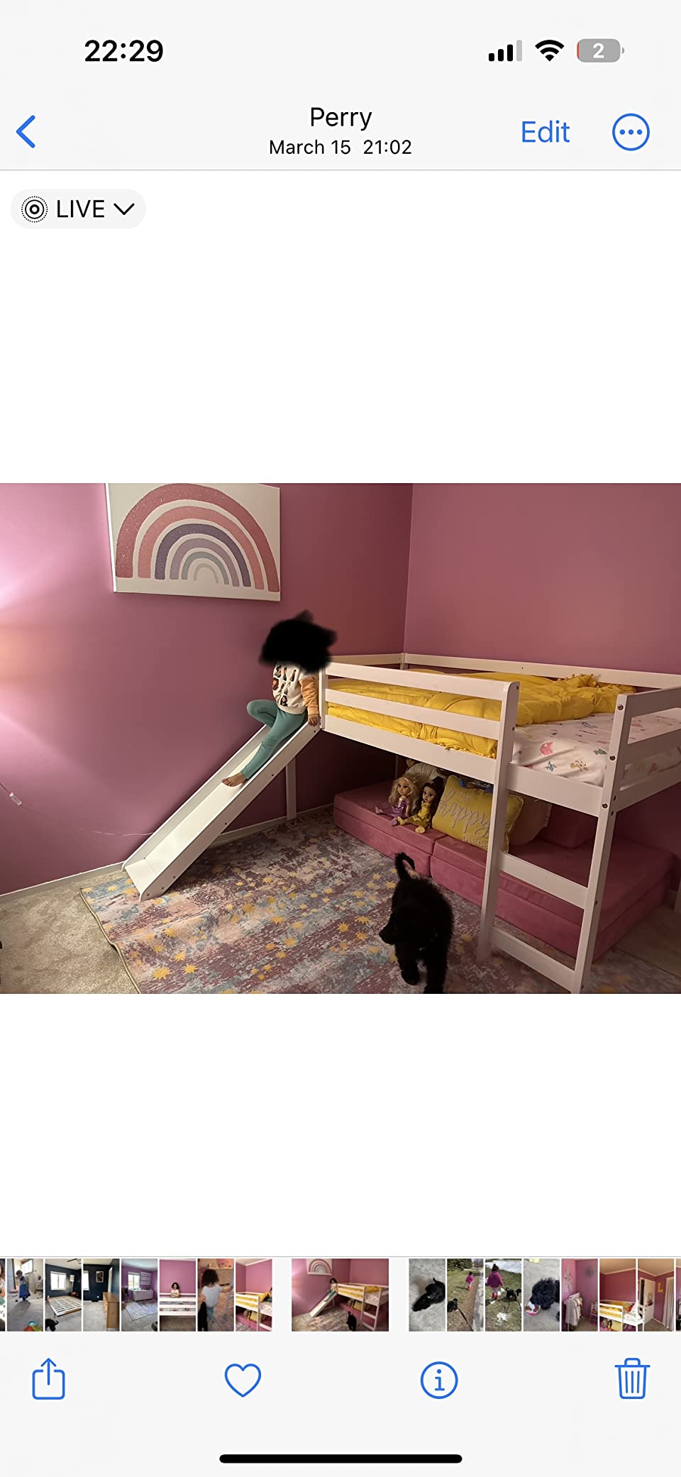 NAFORT Twin Low Loft Bed with Slide & Stairs – Solid Wood Kids Loft Bed Frame, Guard Rails & Slat Support, Climbing Ladder, Space-Saving for Boys & Girls (Espresso) customer photo 1