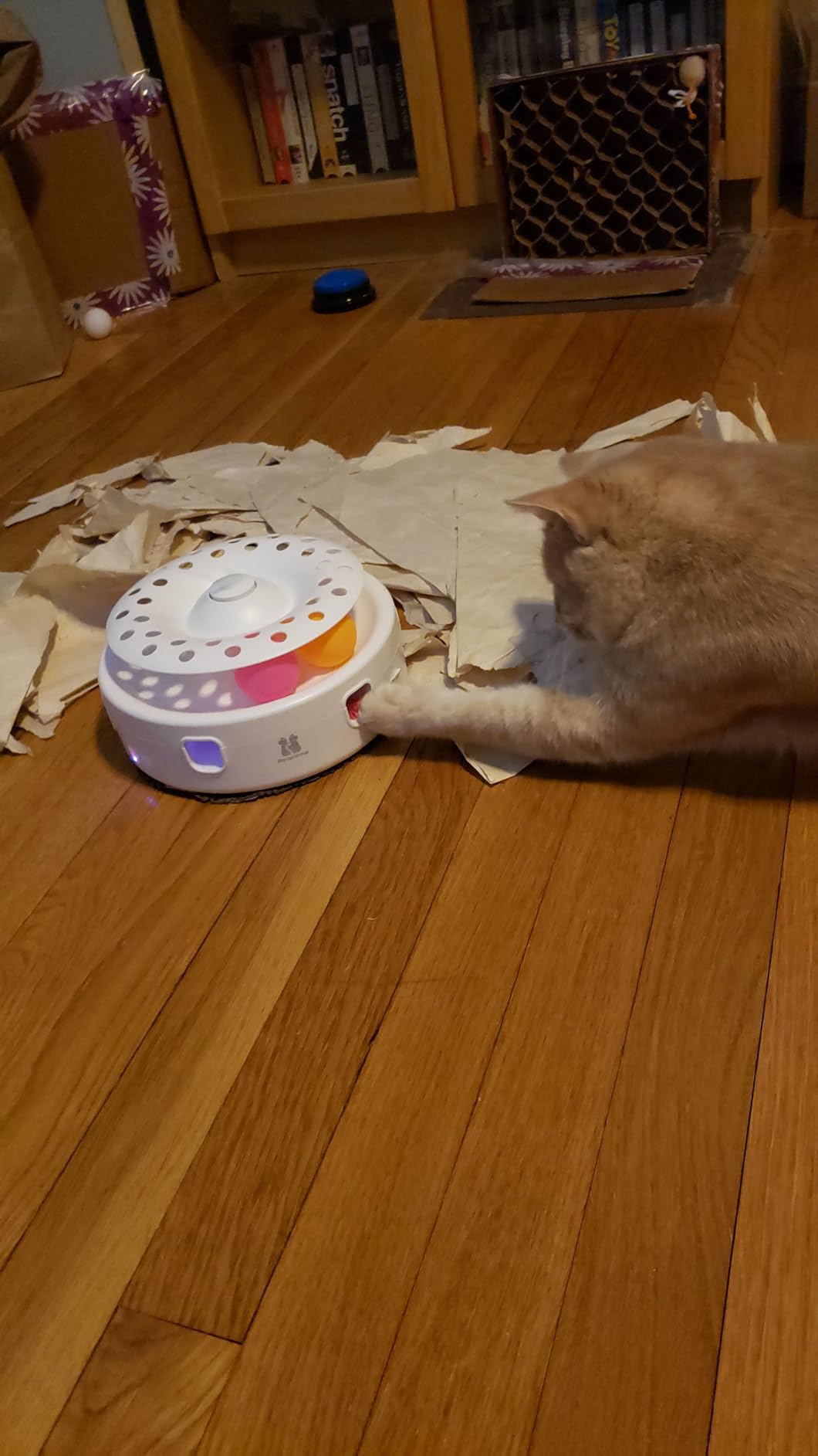 Potaroma Cat Toys 3-in-1 Automatic Interactive Kitten Toy, Fluttering Butterfly, Random Moving Ambush Feather, Track Balls, Dual Power Supplies, USB Powered, Indoor Exercise Cat Kicker (Blue) customer photo 2