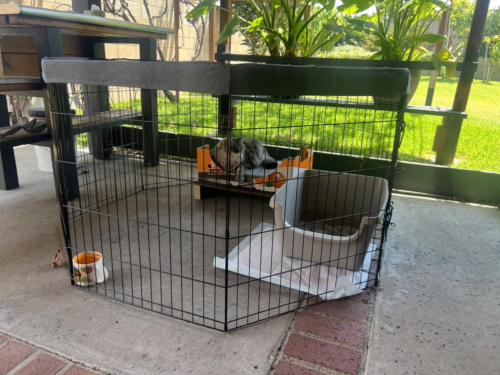 PETIME Foldable Metal Dog Exercise Pen/Pet Puppy Playpen Kennels Yard Fence Indoor/Outdoor 8 Panel 24