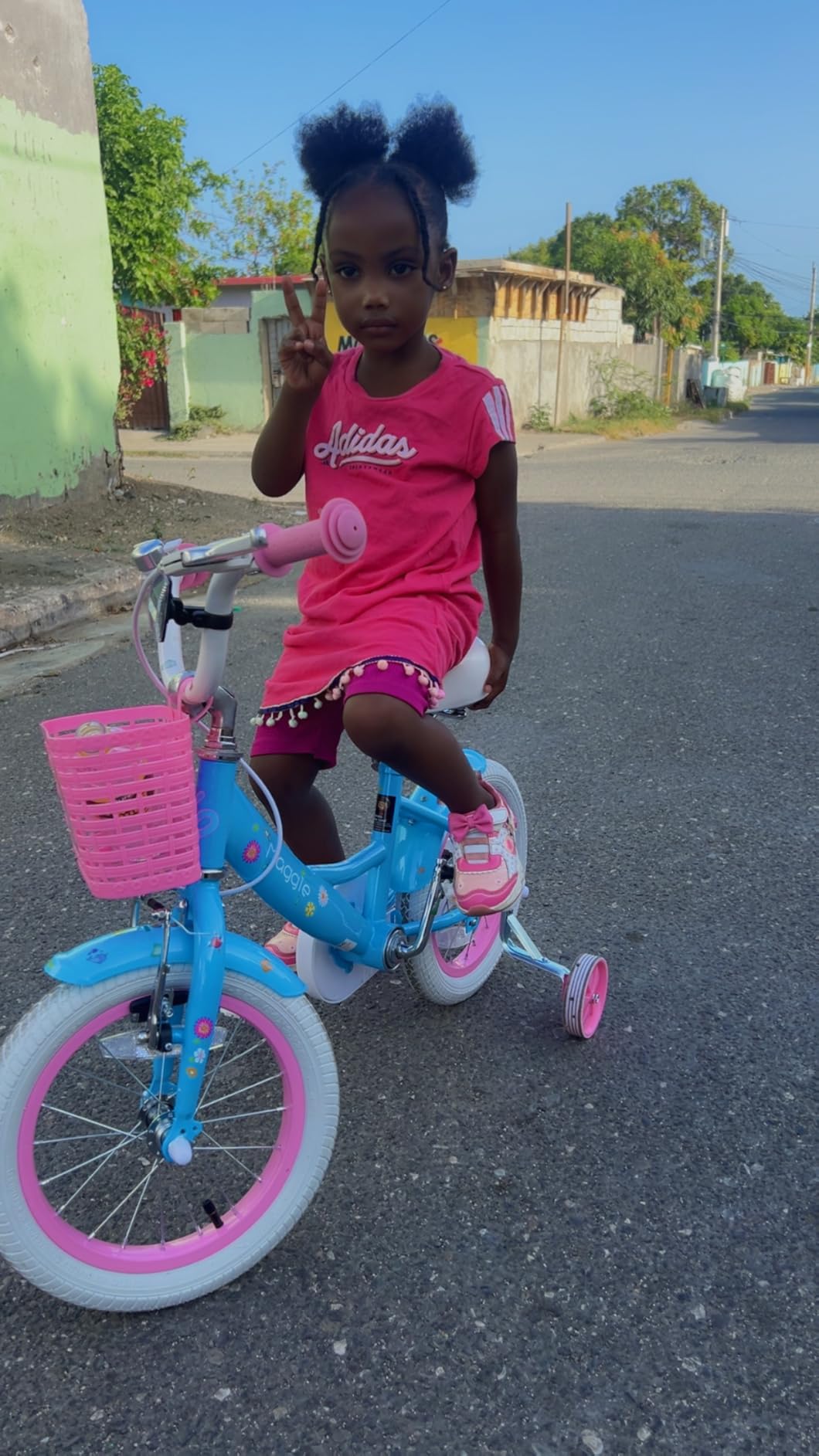 Glerc Maggie Girls Bike, 12-20 Inch Kids Bike for 2-13 Years Old Children, Princess Style Kids Bicycle with Doll-Seat & Basket & Training Wheels, Multiple Colors customer photo 2