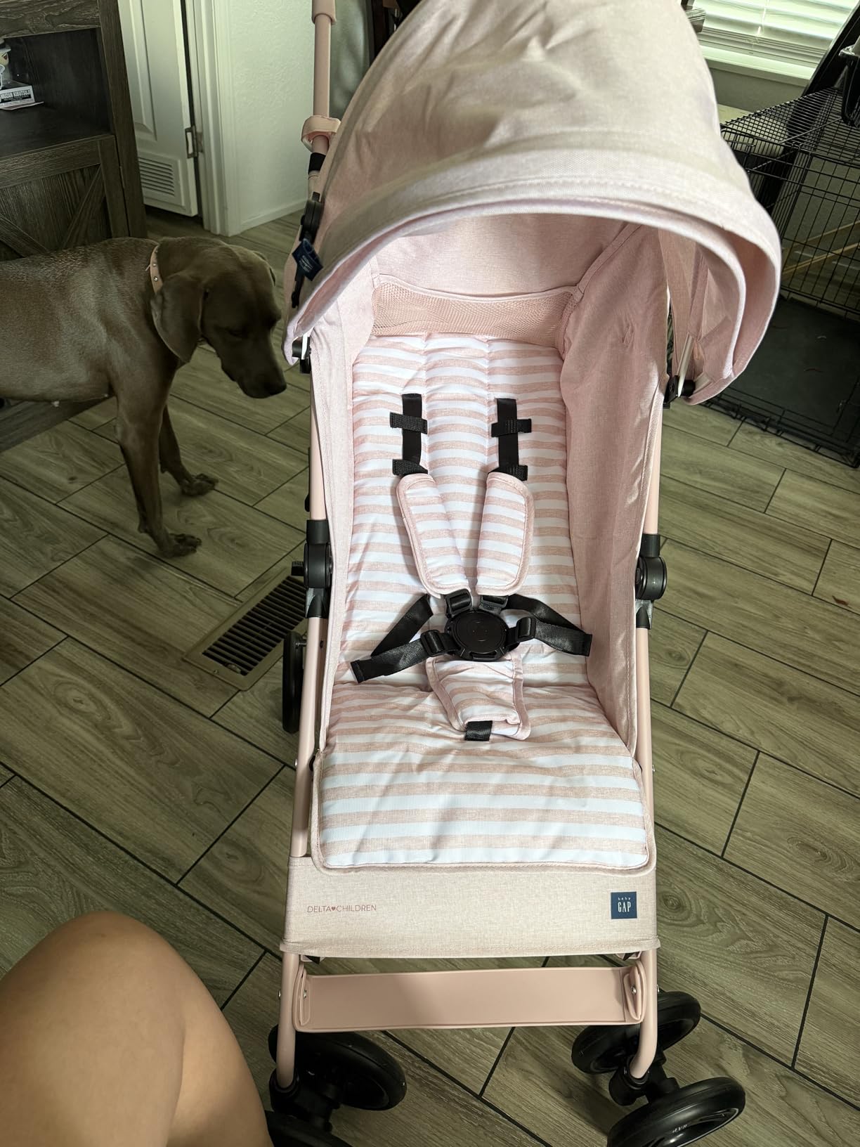 babyGap Classic Stroller - Lightweight Stroller with Recline, Compact Fold & Removable Parent Organizer - Made with Sustainable Materials, Grey Stripes customer photo 1