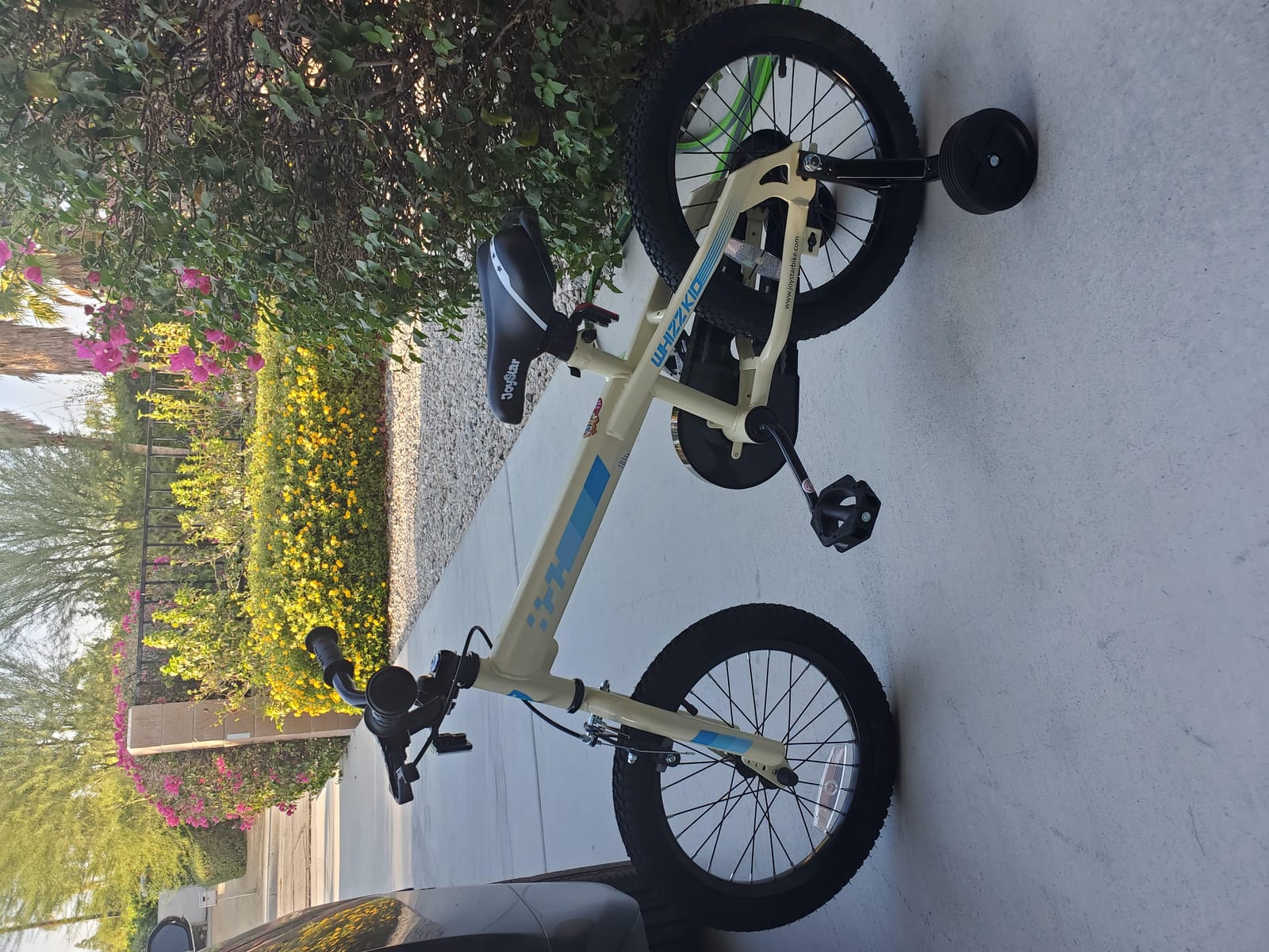 JOYSTAR Whizz 12-20