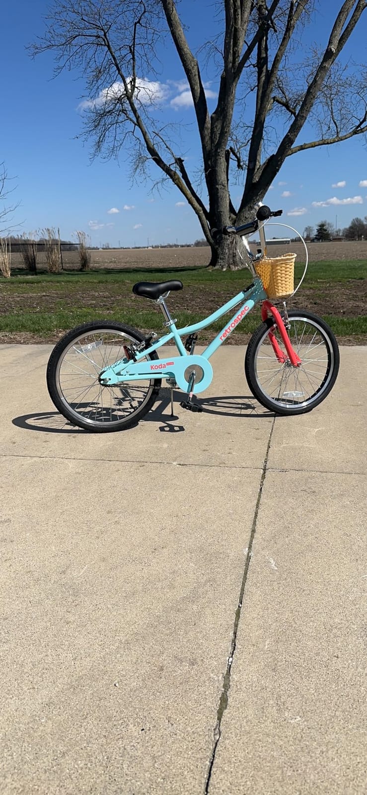 Retrospec Koda Plus Kids Bike for Boys & Girls Ages 6-8 Years - Children's Bicycle, Adjustable Seat & Handlebars customer photo 1
